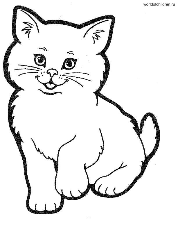 Раскраска Милый пушистый котенок