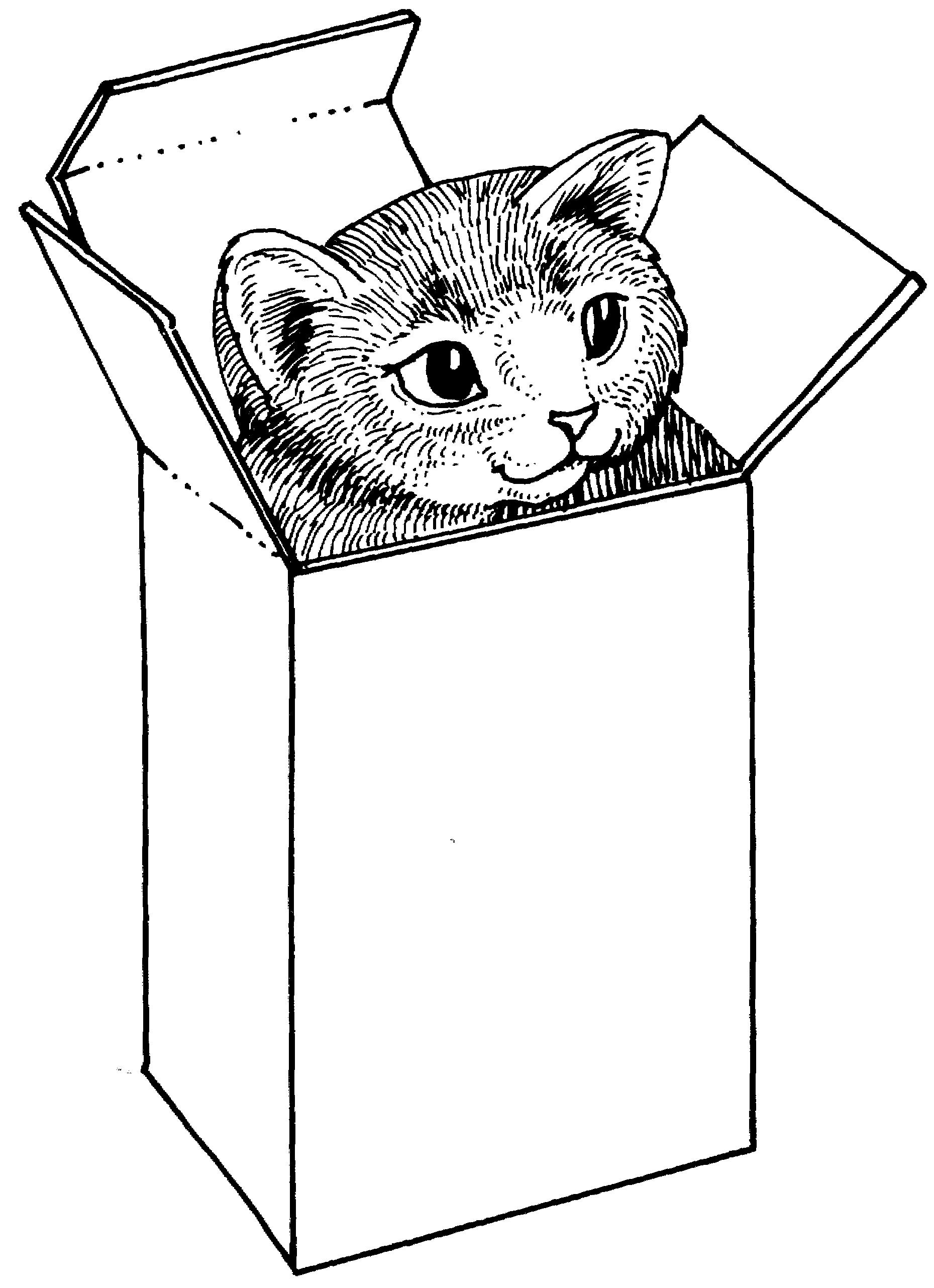 Раскраска Кошка выглядывает из коробки