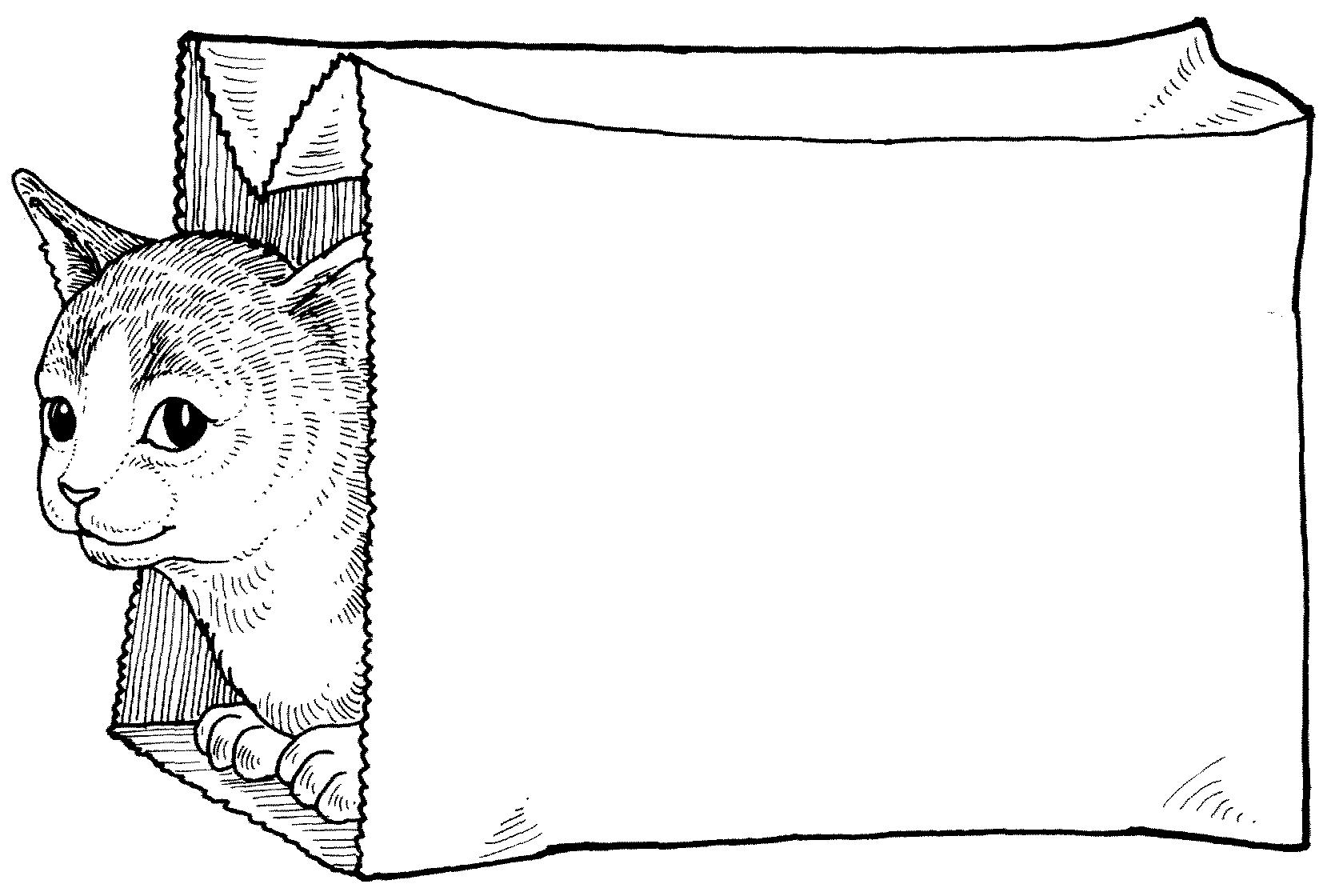 Раскраска Кошка сидит в бумажном пакете