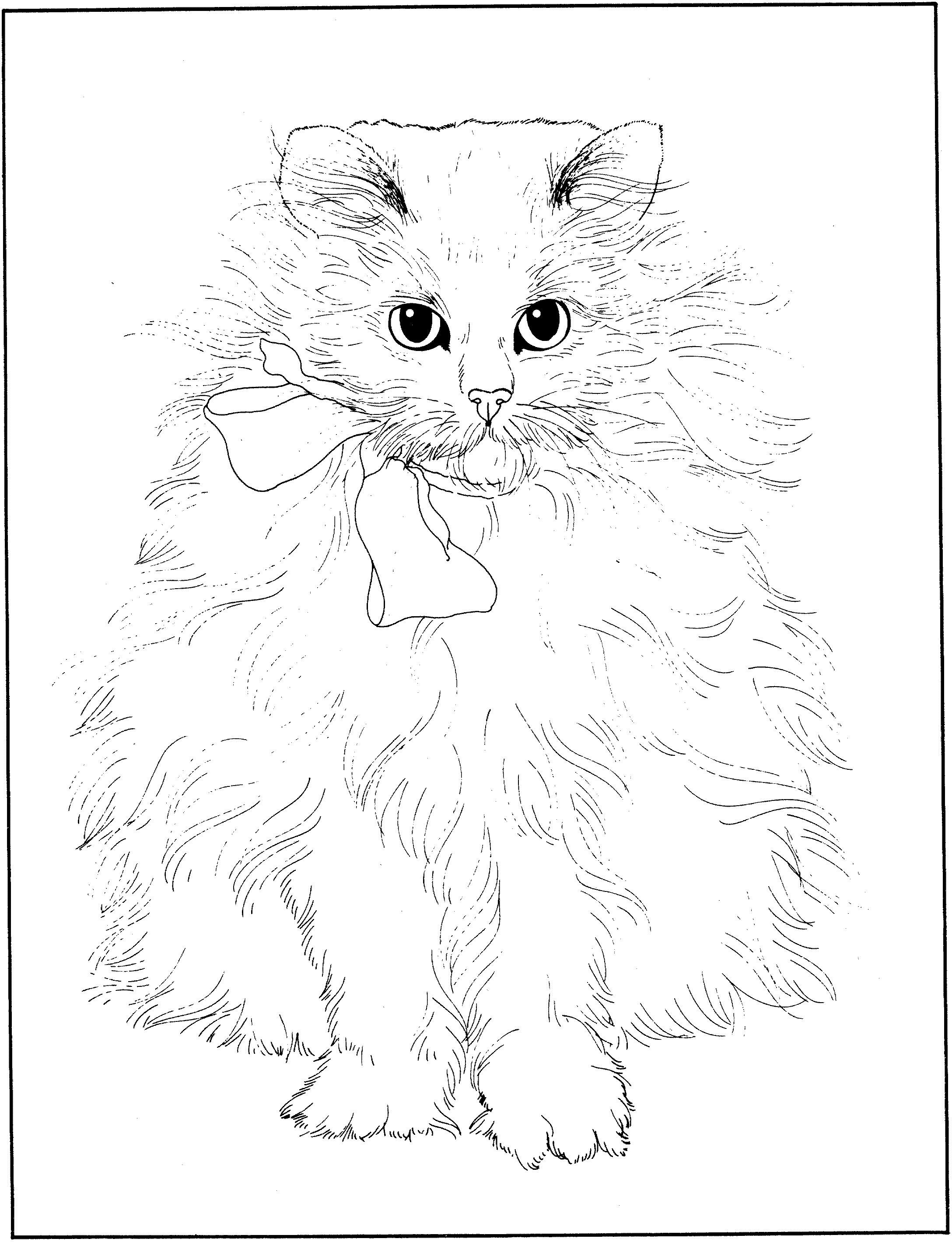 Раскраска Пушистый кот с бантом