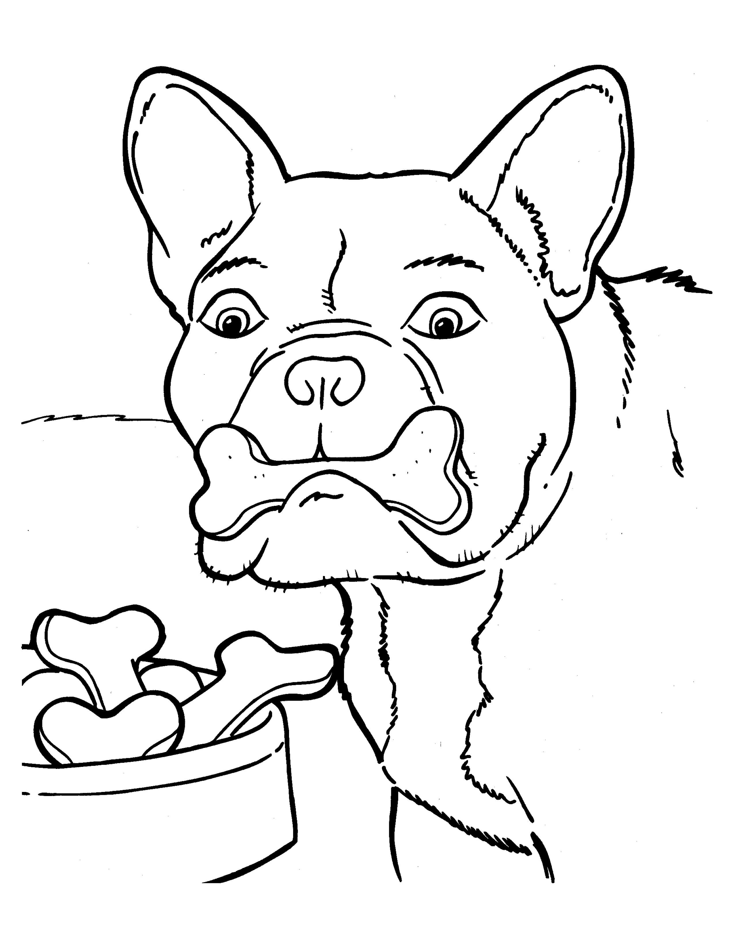 Раскраска Собака бульдог и печенье