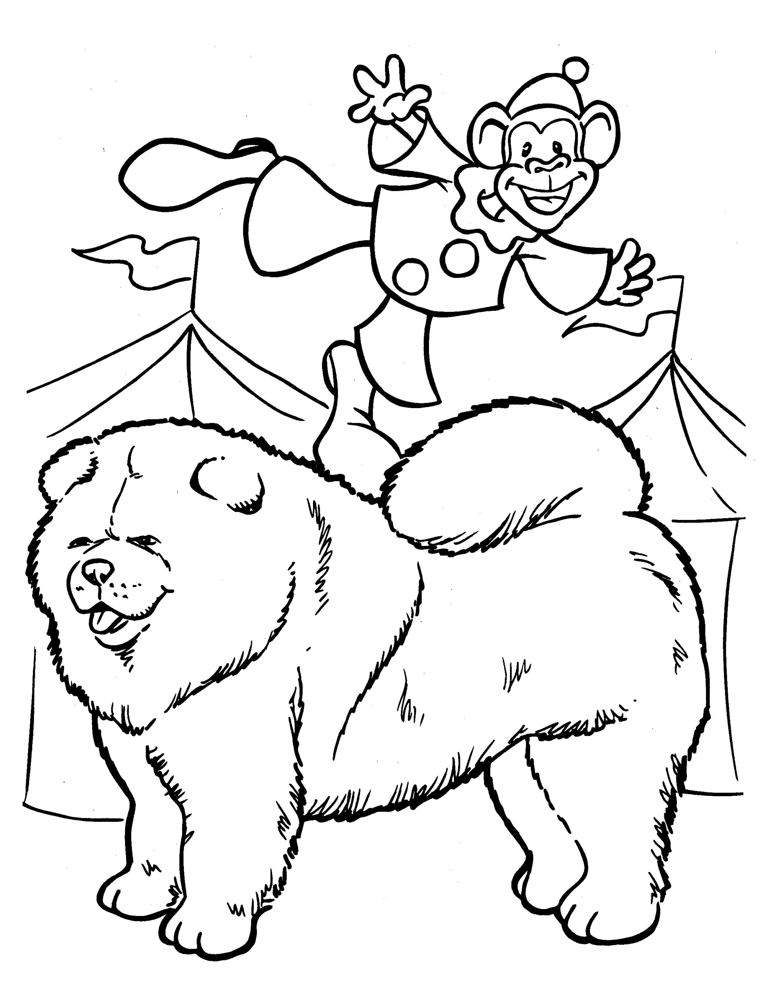 Раскраска Собака чау-чау и обезьяна