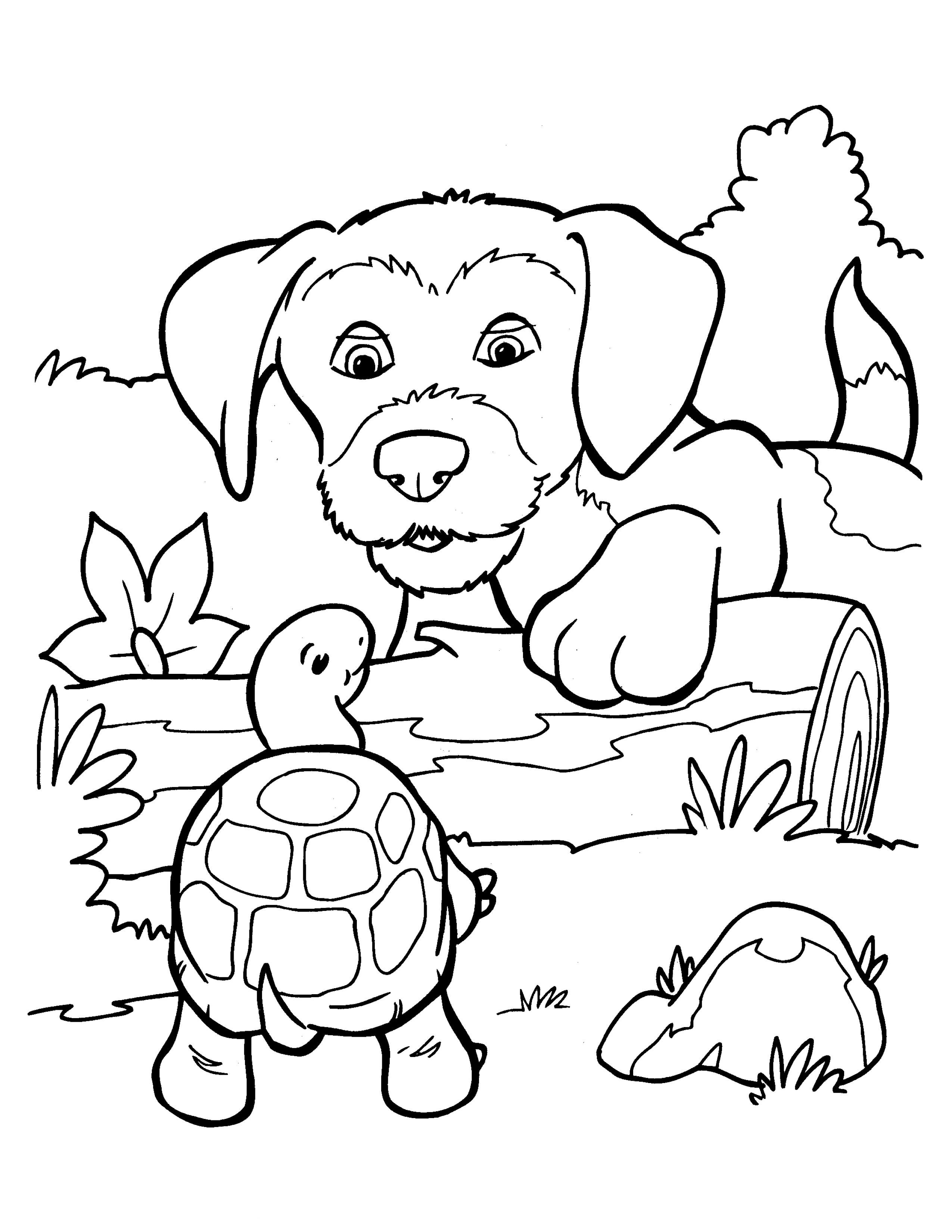 Раскраска Собака и черепаха