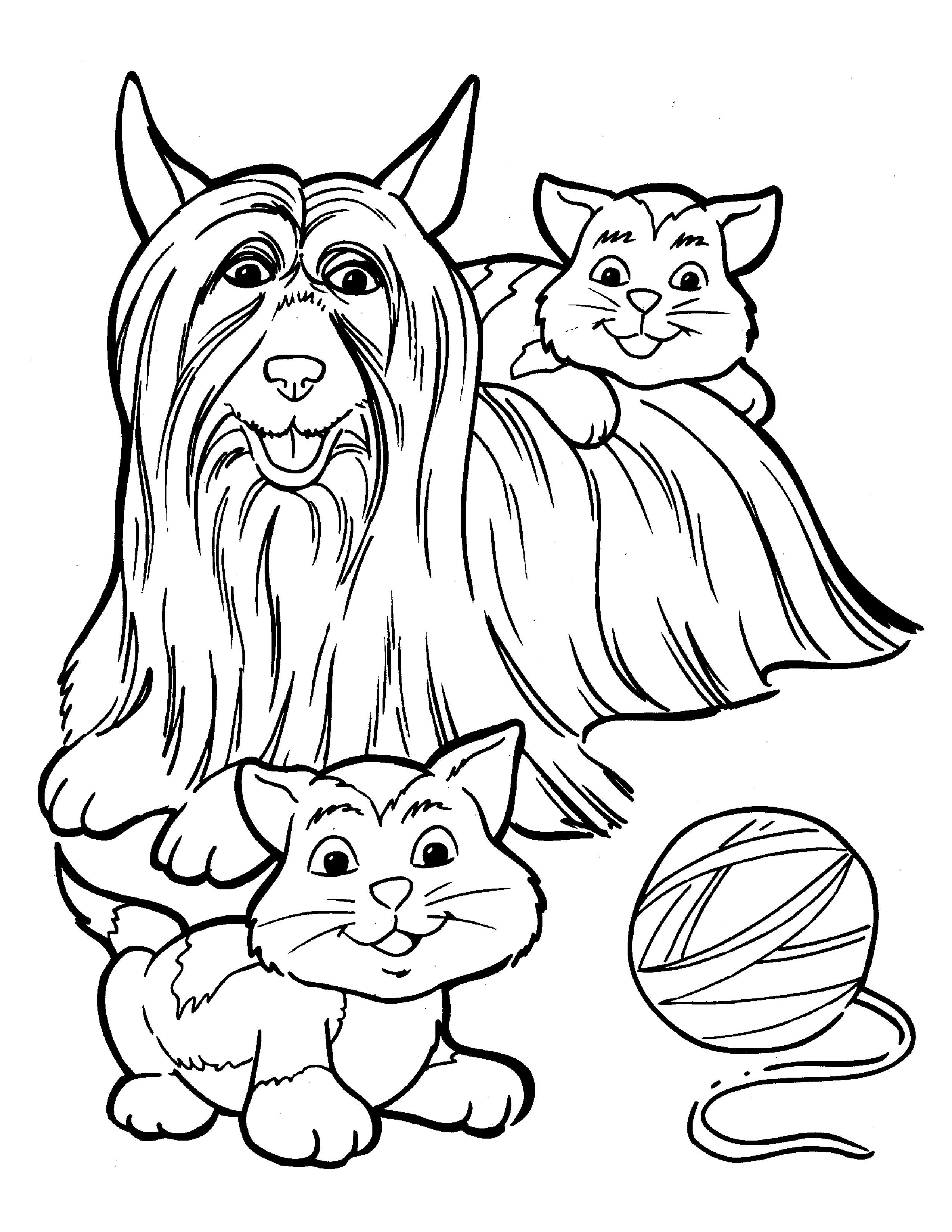 Раскраска Длинношерстная собака и котята