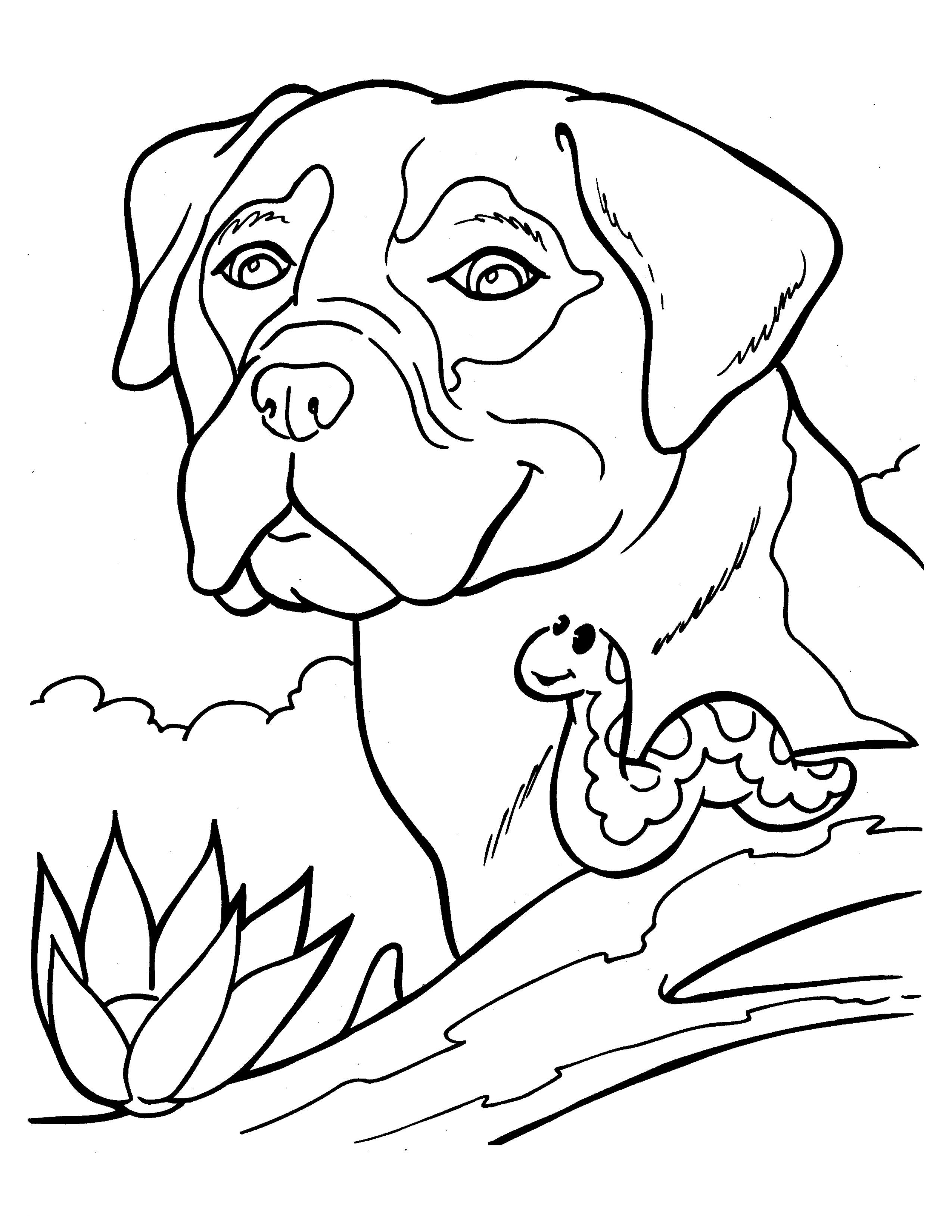 Раскраска Собака и гусеница