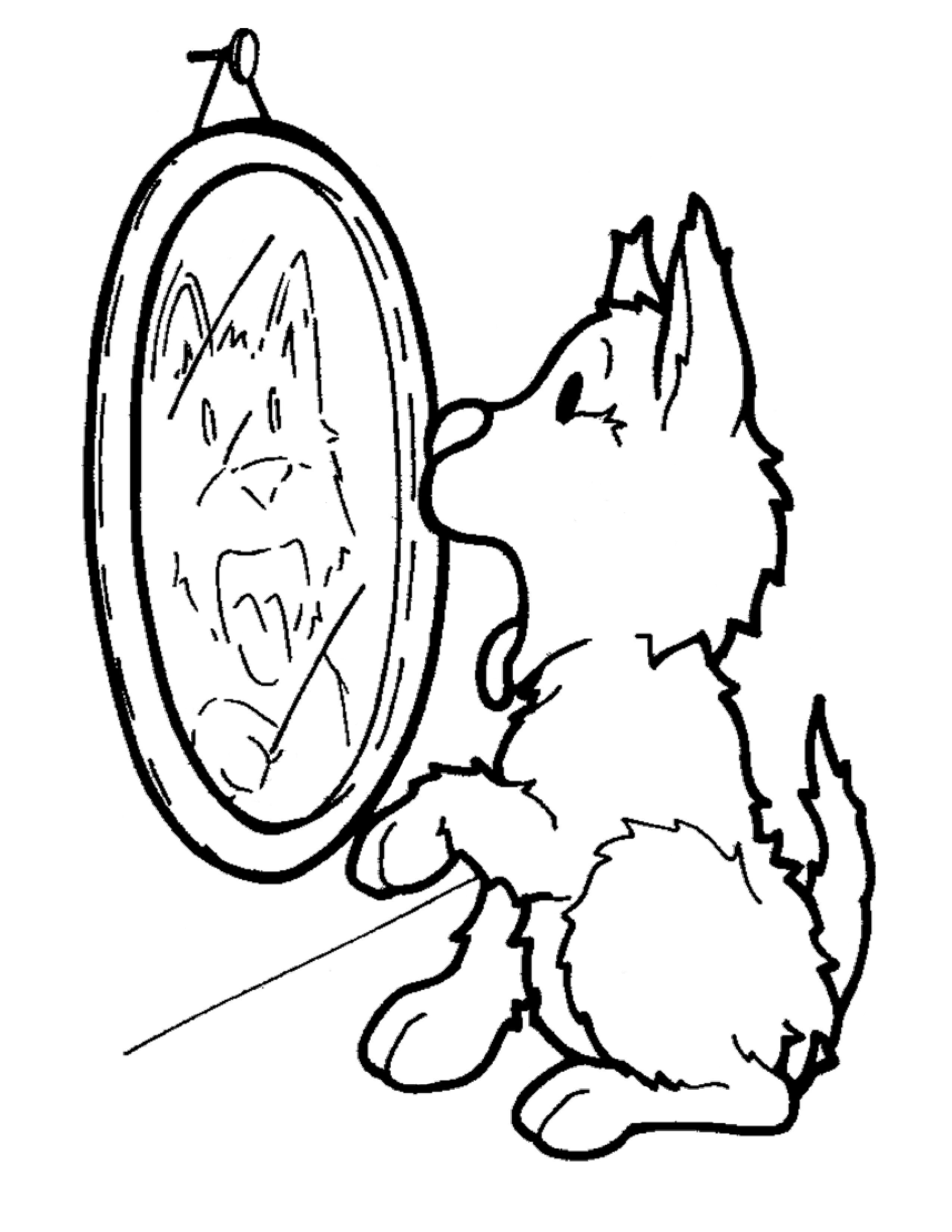 Раскраска Собака увидела отражение в зеркале