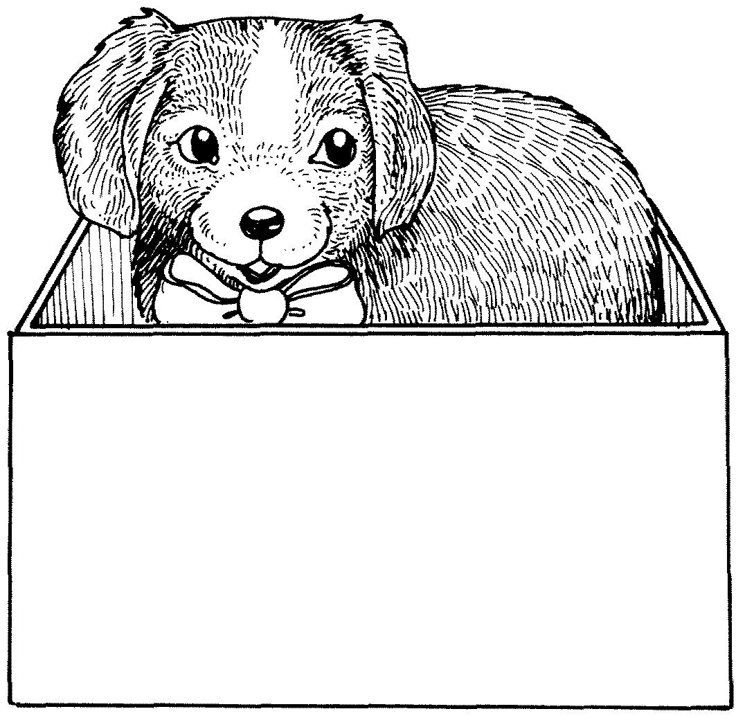 Раскраска Собака в коробке