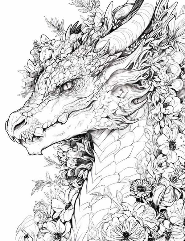 дракон раскраска