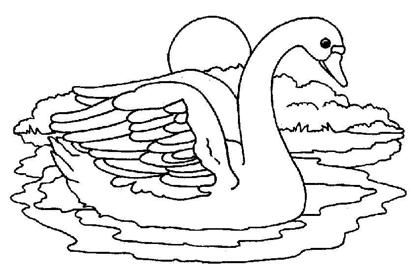 раскраска лебедь