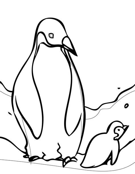 раскраска пингвин и пингвиненок