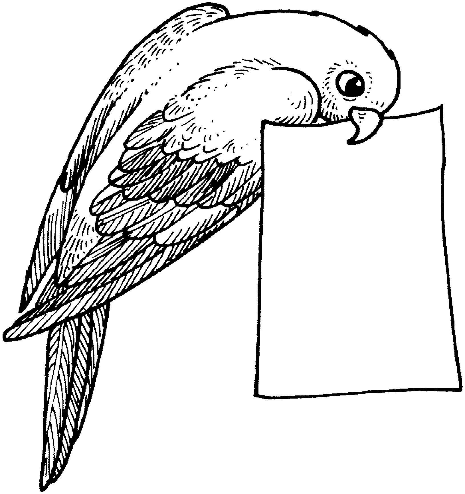 попугай с открыткой