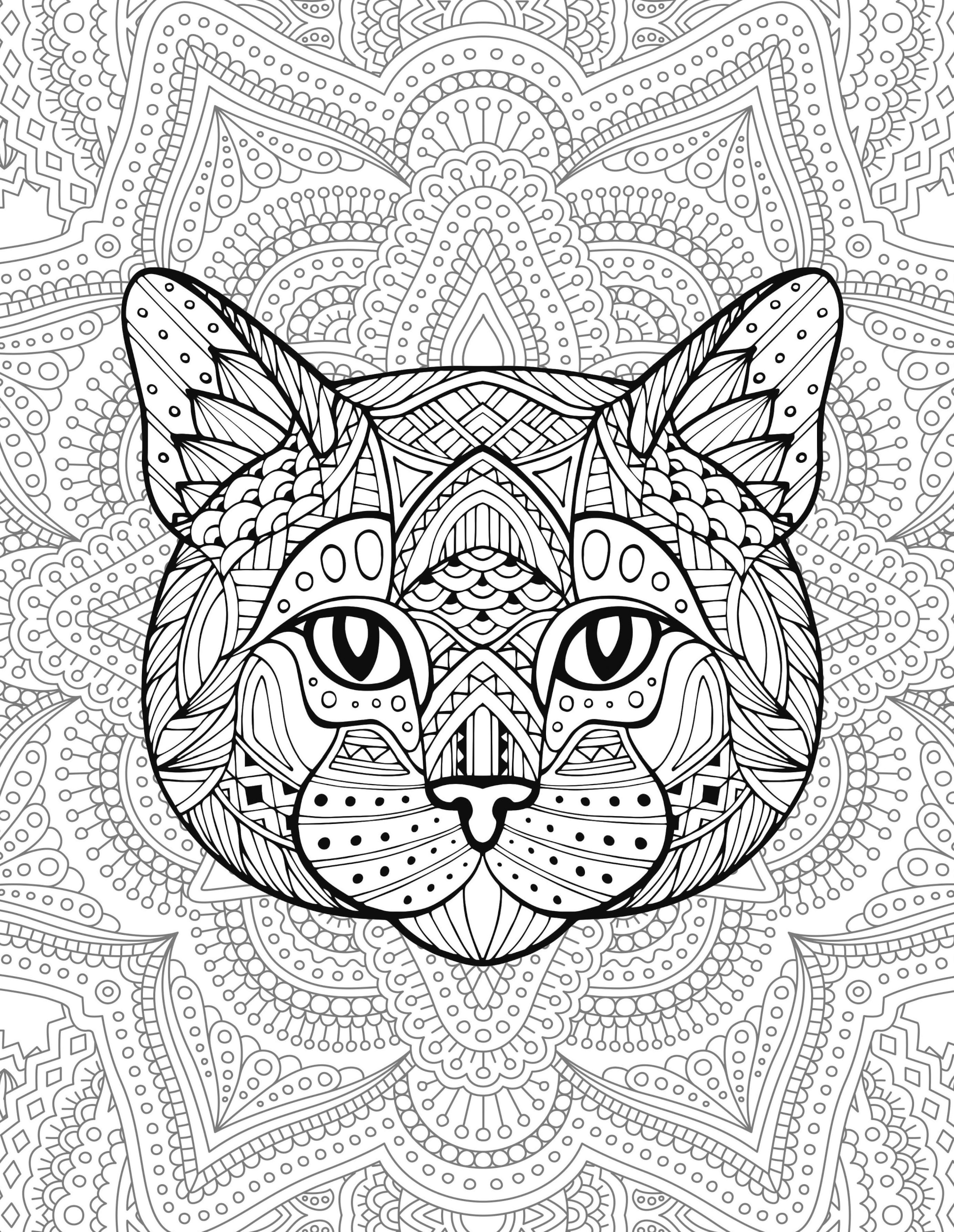 Раскраска Релакс мордочка кота и многочисленные узоры