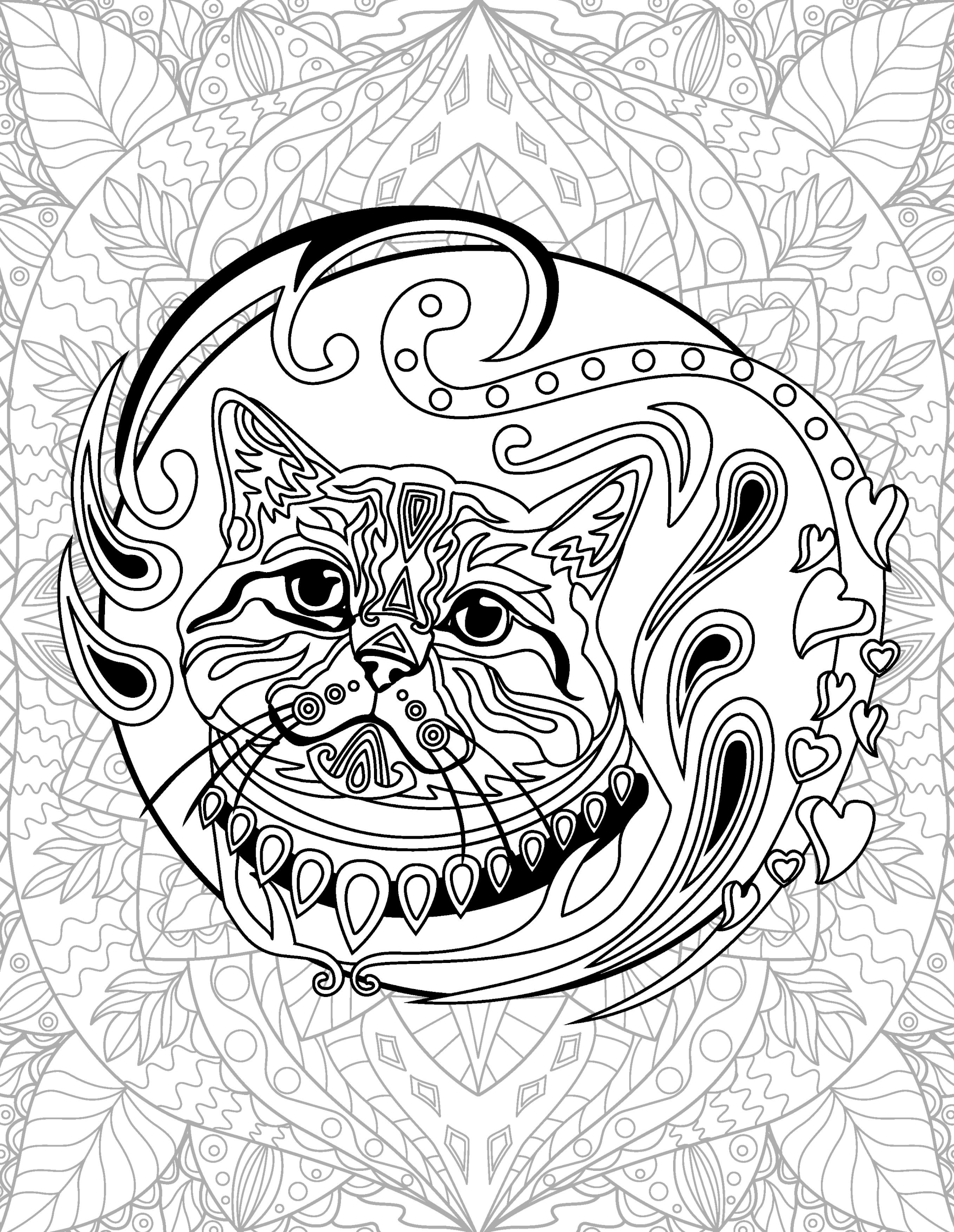 Раскраска Релакс кот в ошейнике