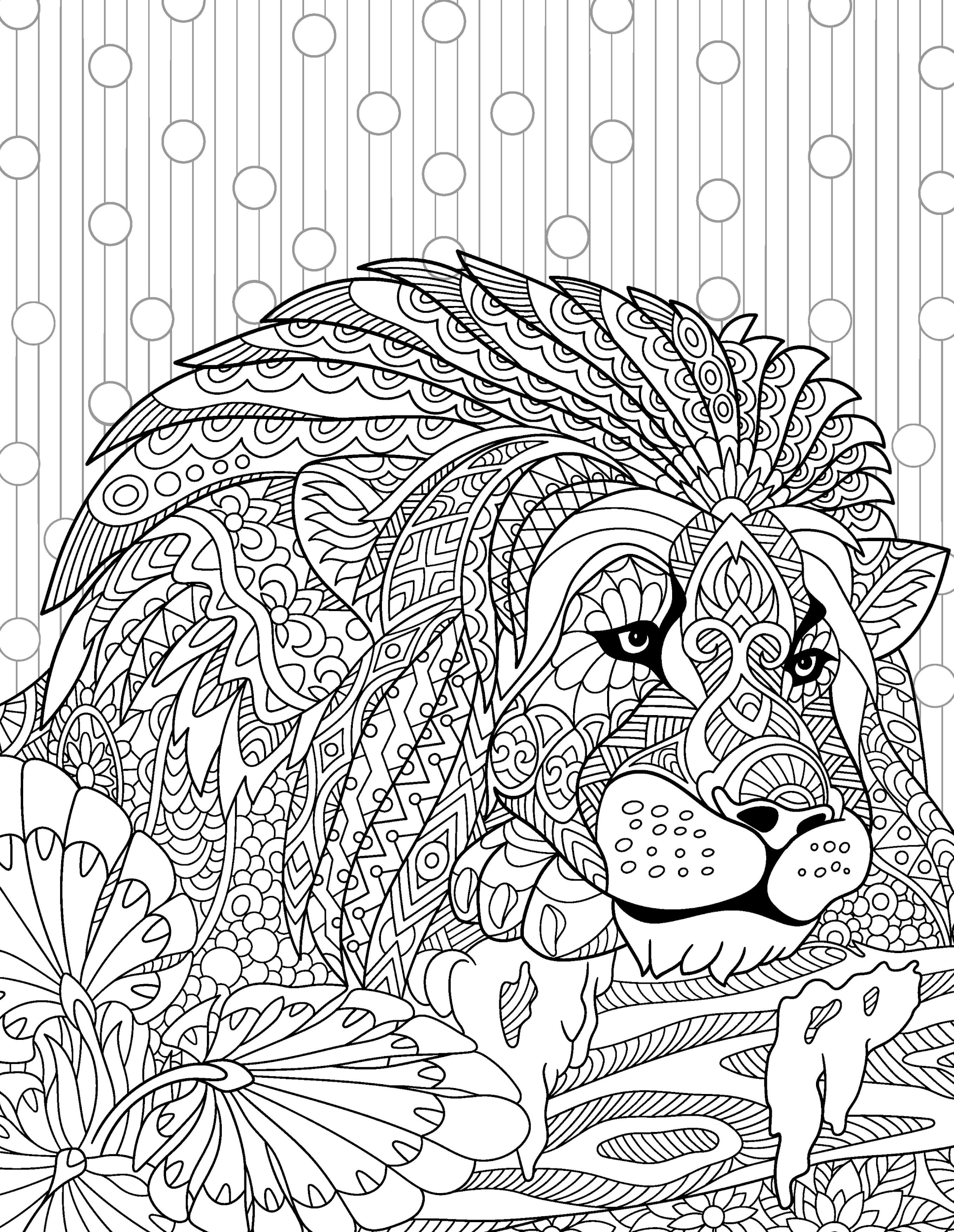 Раскраска Релакс лев на отдыхе
