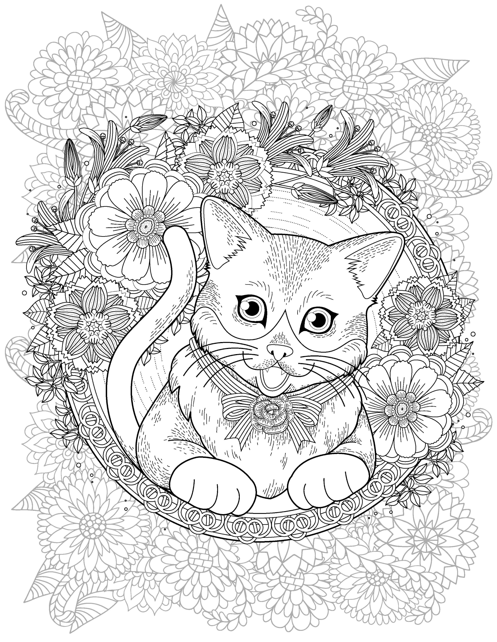 Раскраска Релакс кошка и круг из цветов