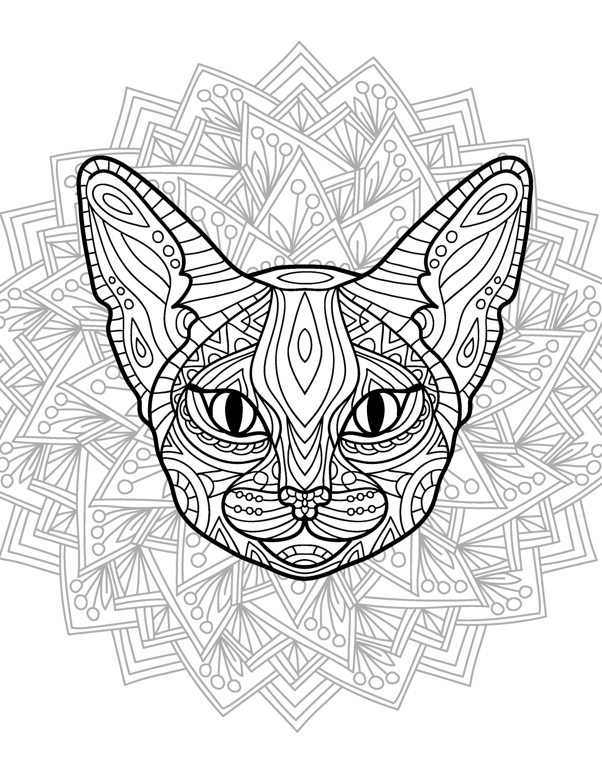 Раскраска Релакс кот породы сфинкс