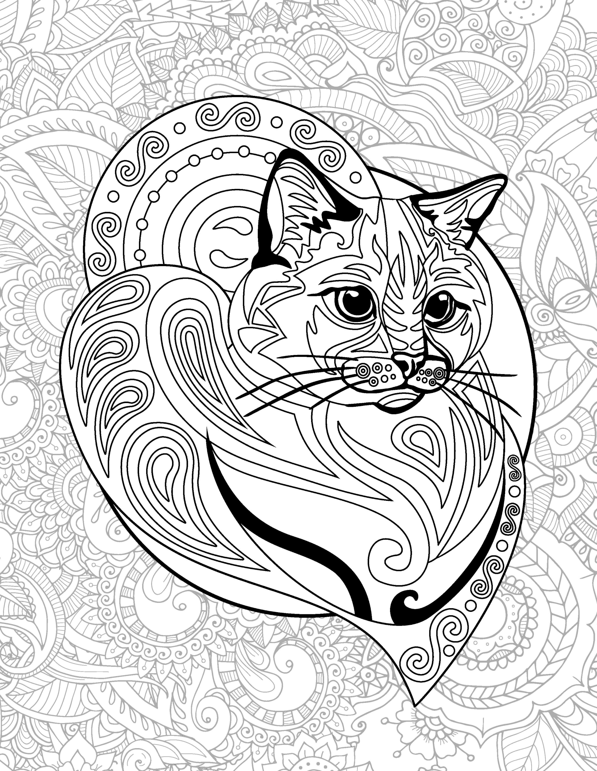 Раскраска Релакс кот и сердце