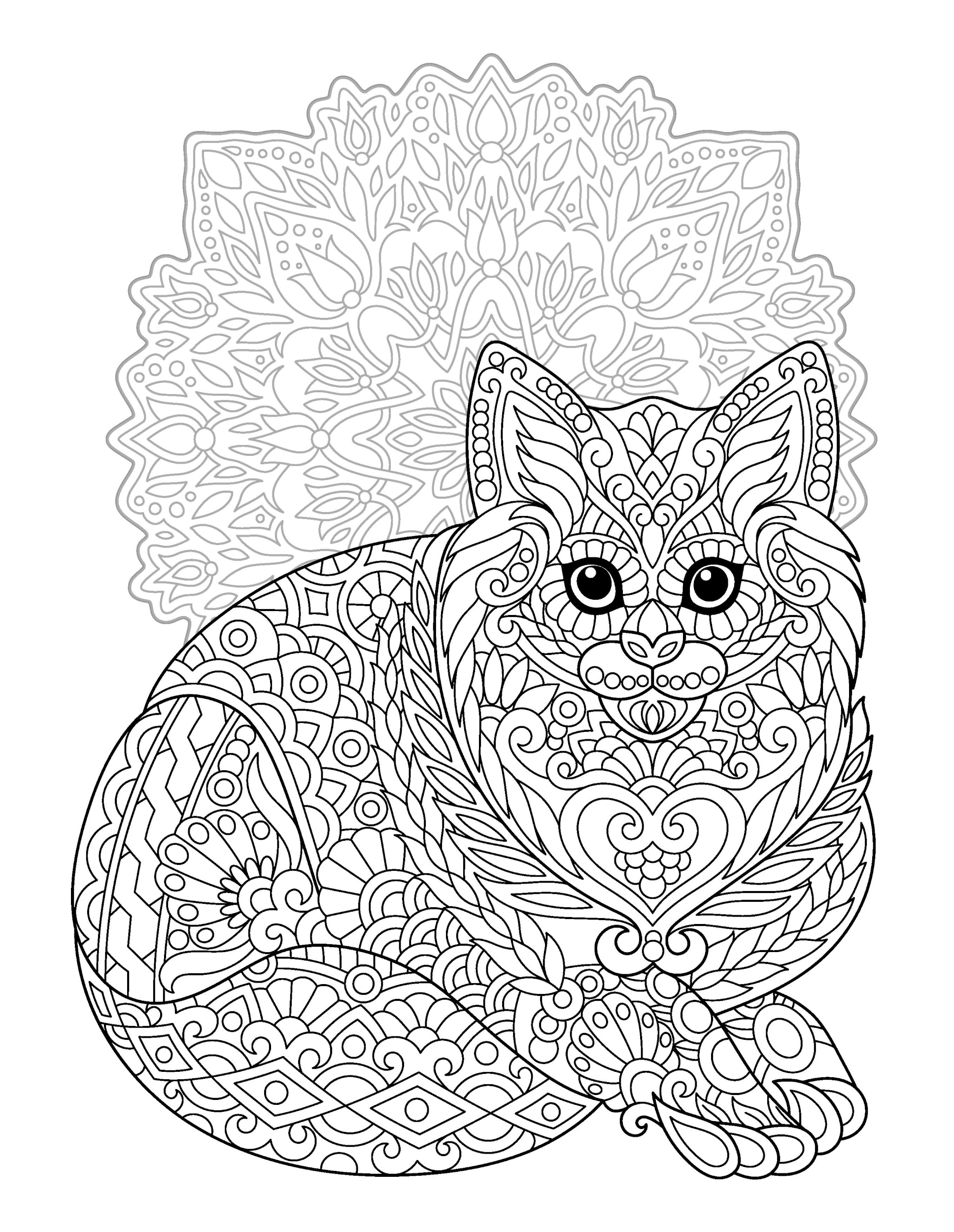 Раскраска Релакс сосредоточенный кот