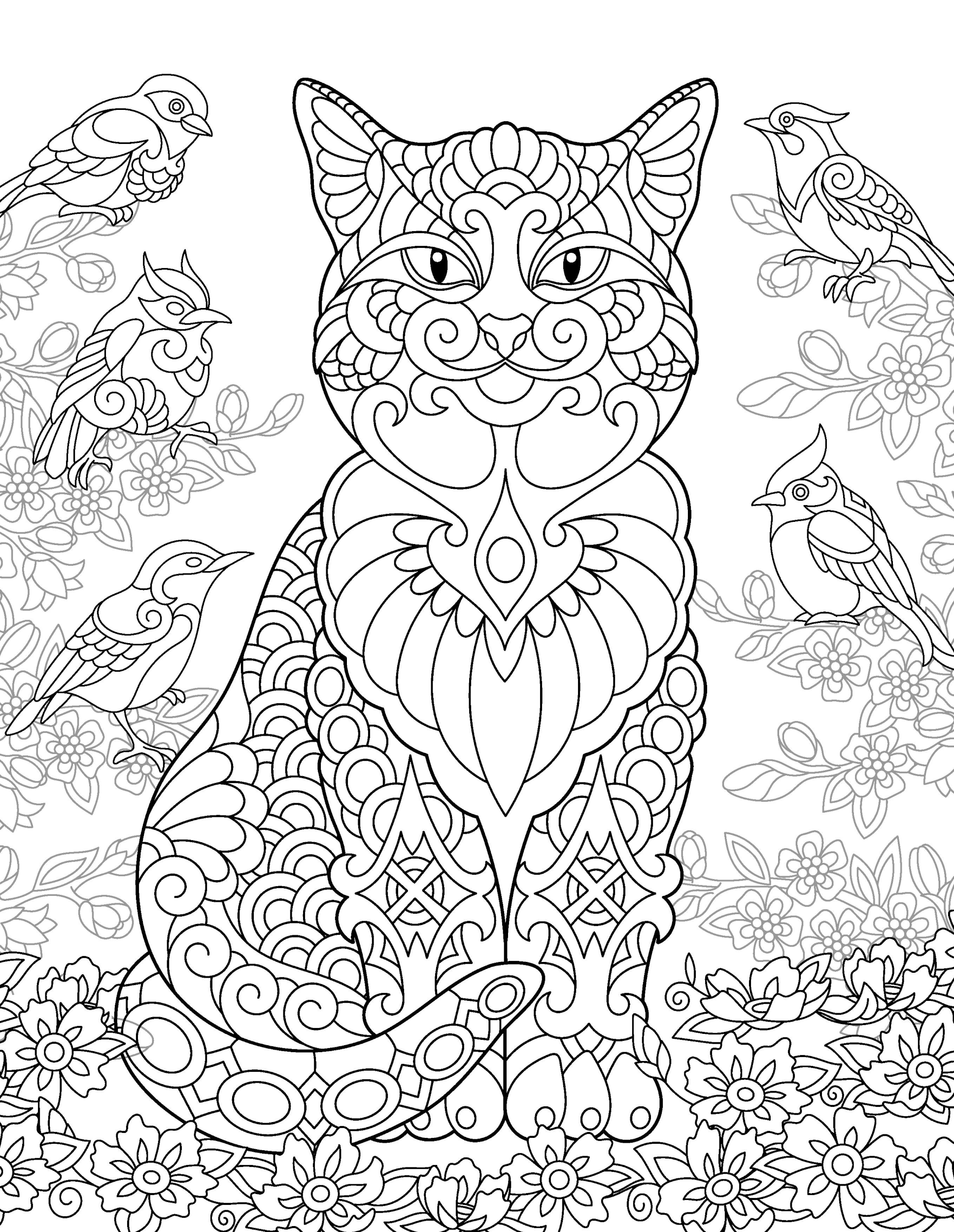 Раскраска Релакс кот и птицы