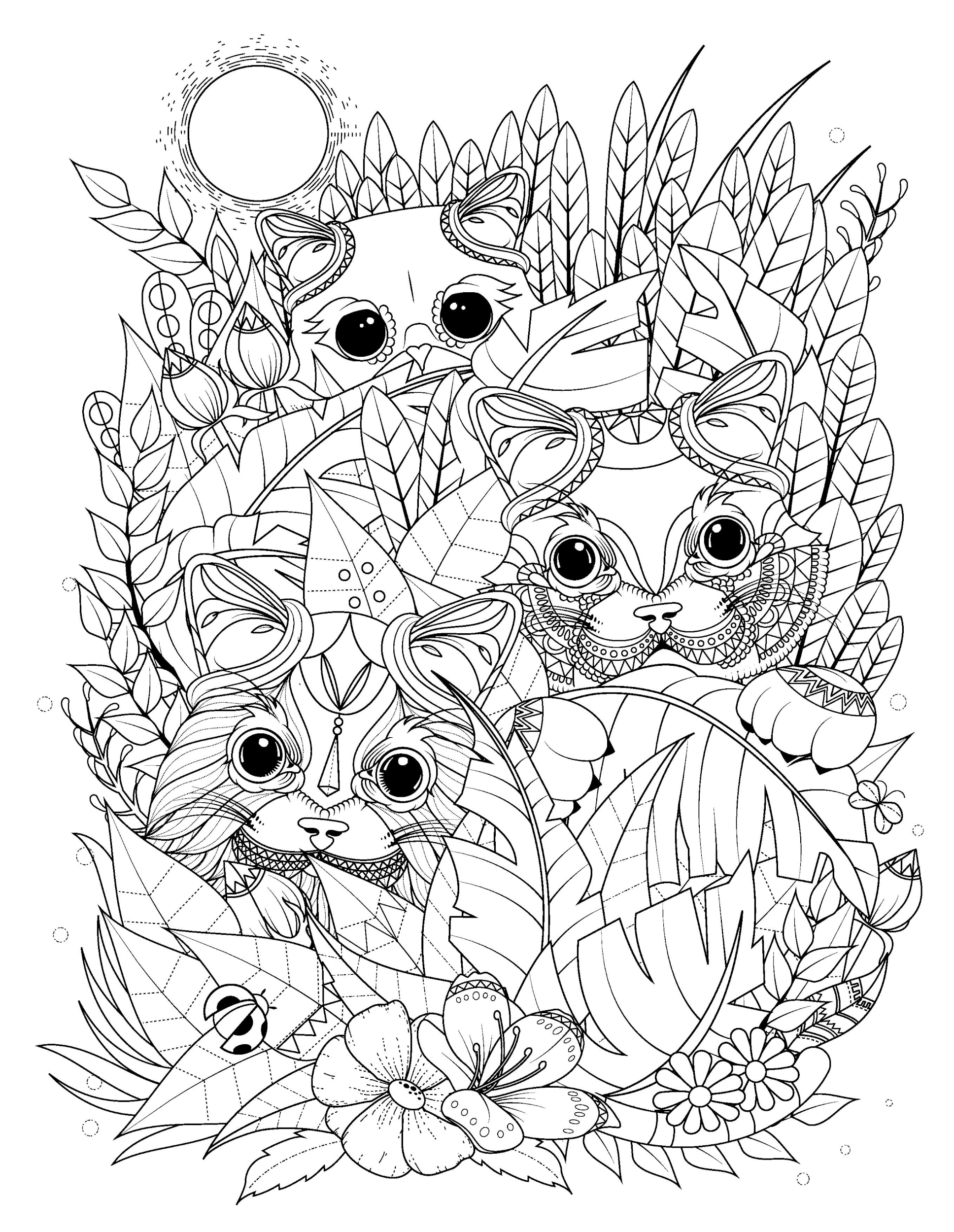 Раскраска Релакс три кота в траве