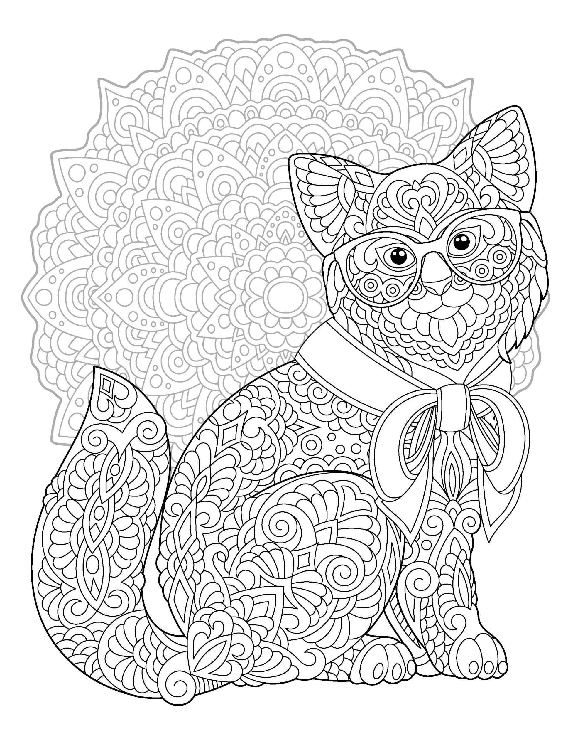 Раскраска Релакс кот в очках