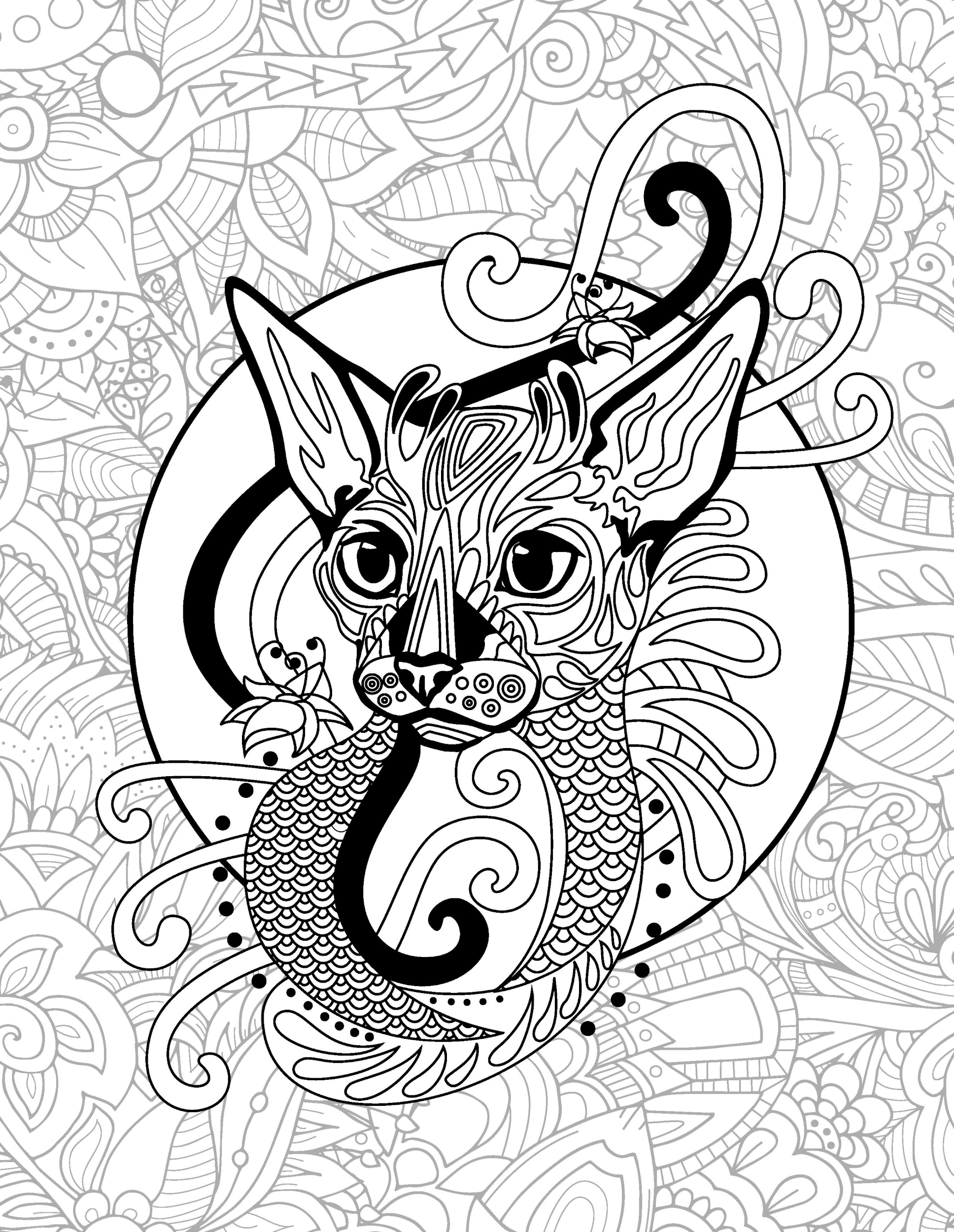 Раскраска Релакс длинноухий кот