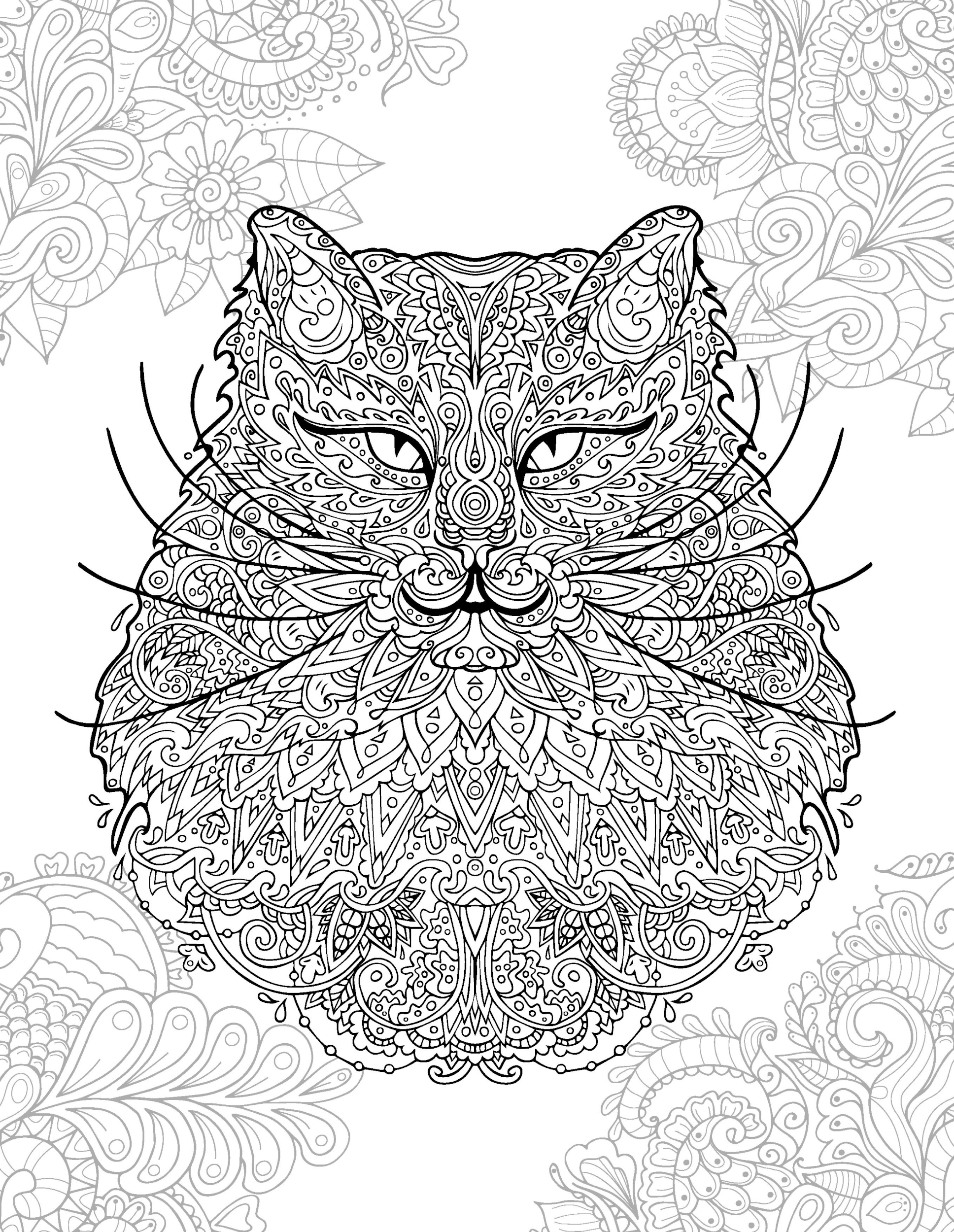 Раскраска Релакс большой усатый кот