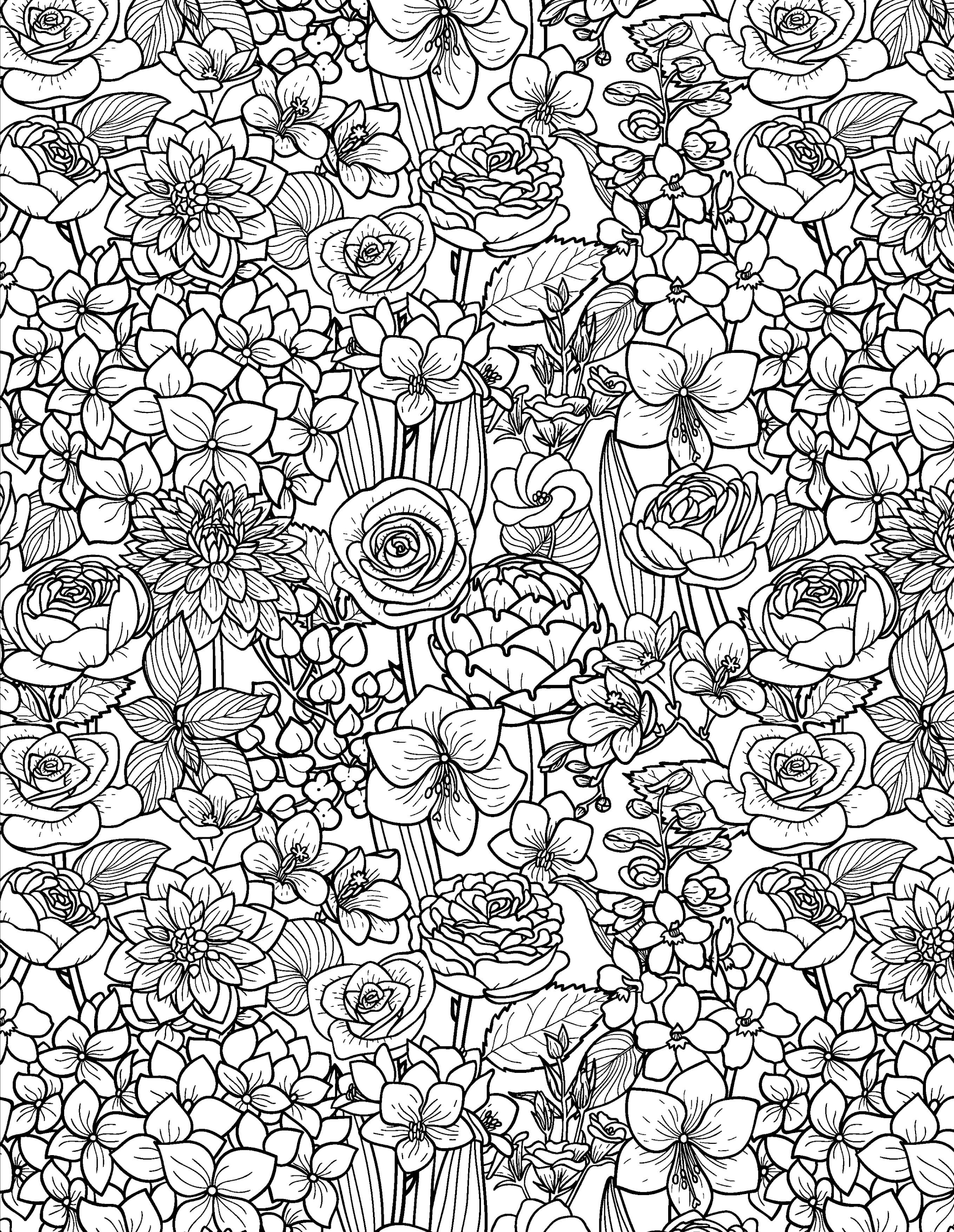 Раскраска Антистресс садовые цветы