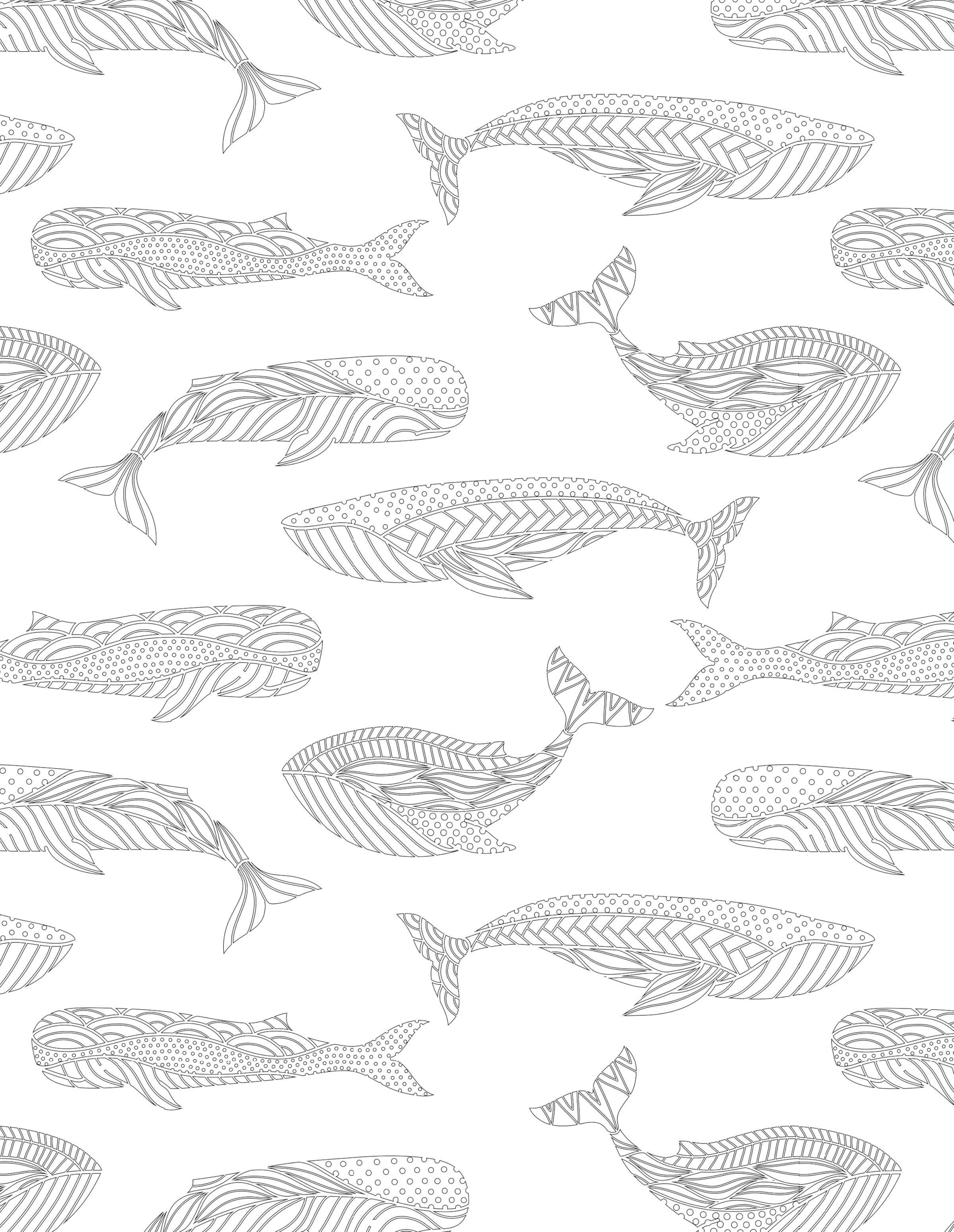 Раскраска Антистресс разные киты