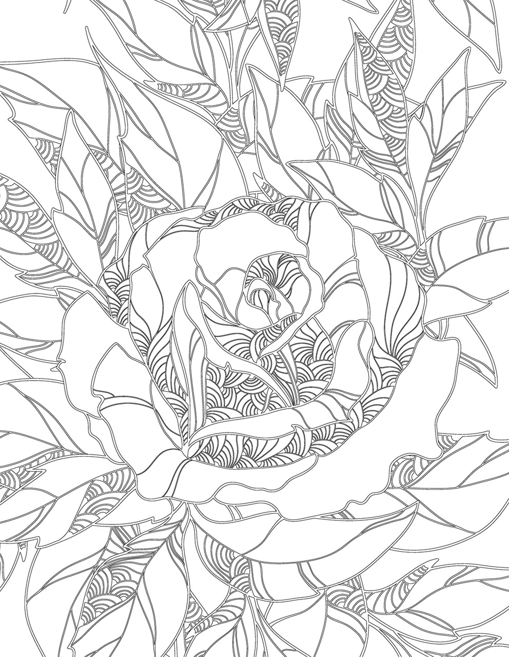 Раскраска Релакс цветок роза