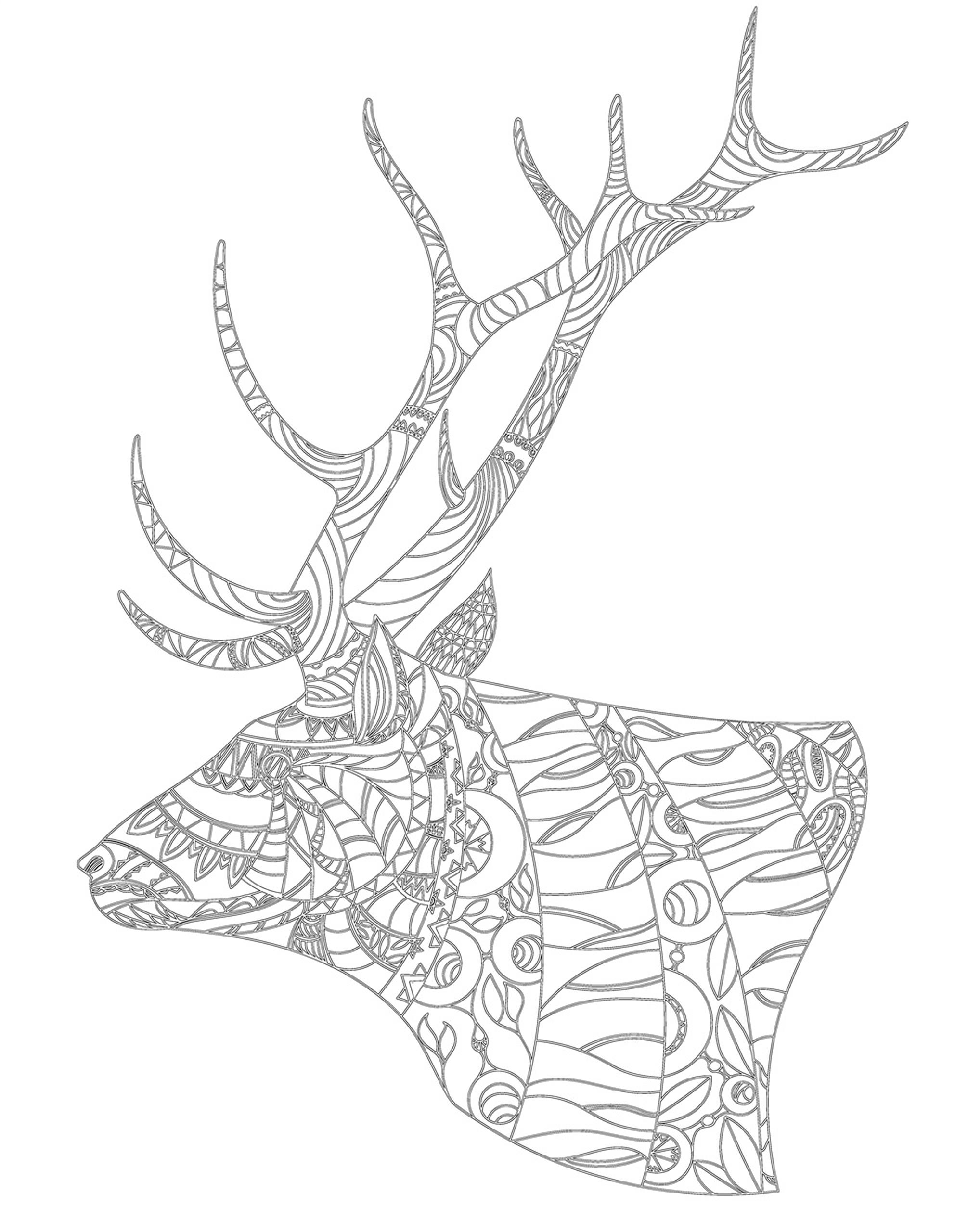 Раскраска Релакс голова оленя