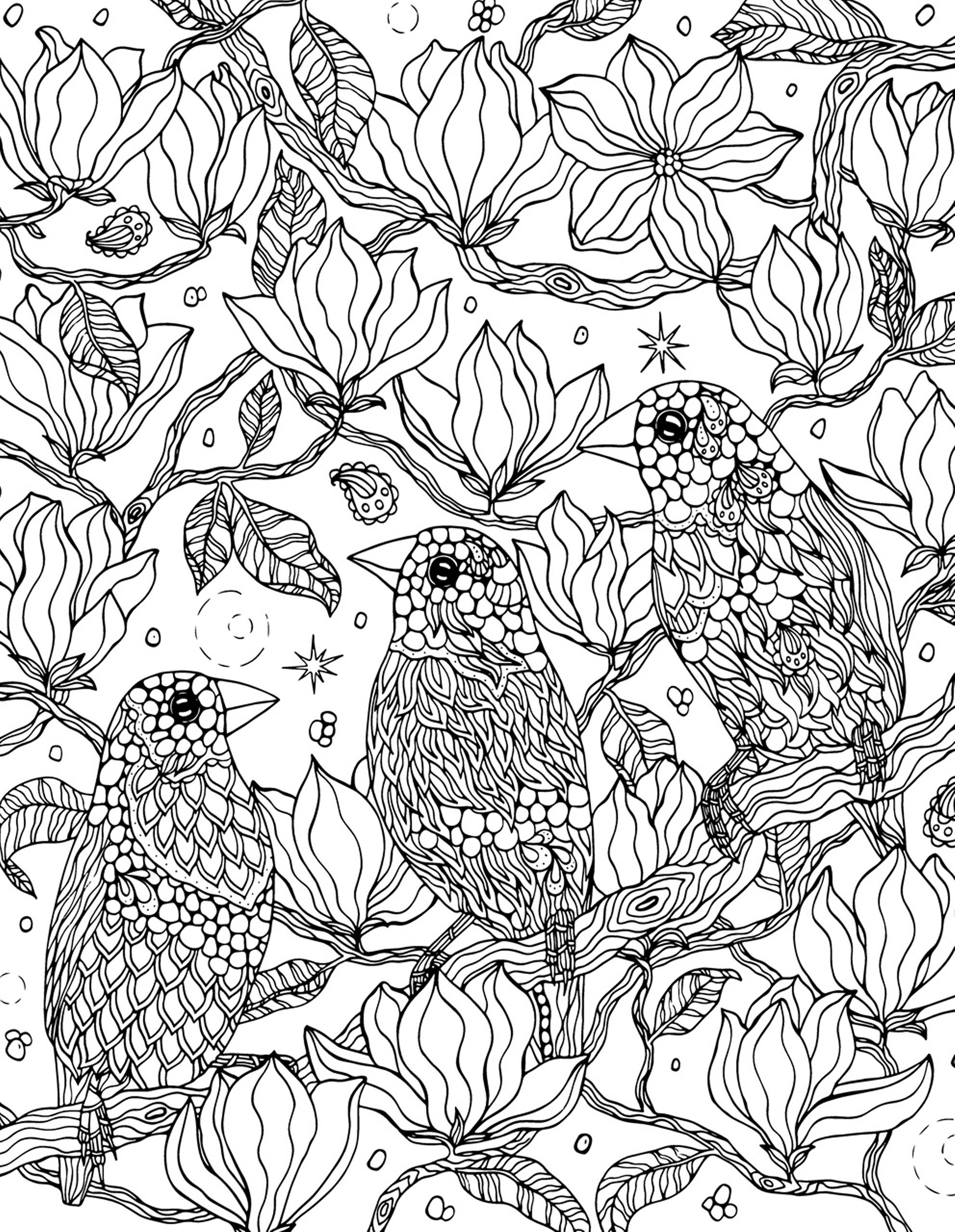 Раскраска Релакс три птицы на цветущей ветке