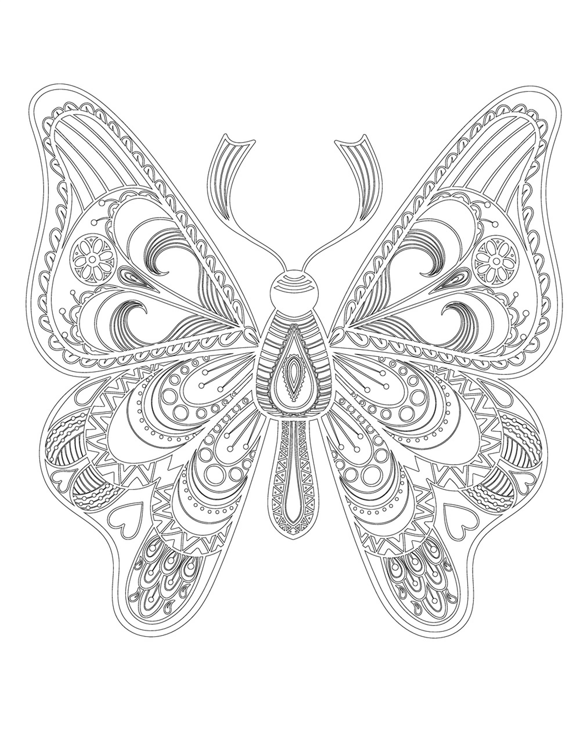 Раскраска Антистресс бабочка с узорами