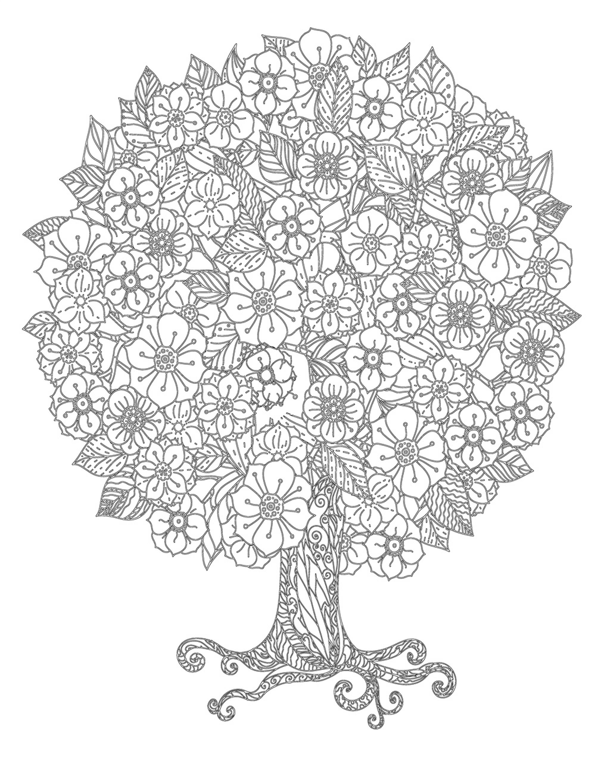Раскраска Антистресс дерево с круглой цветущей кроной