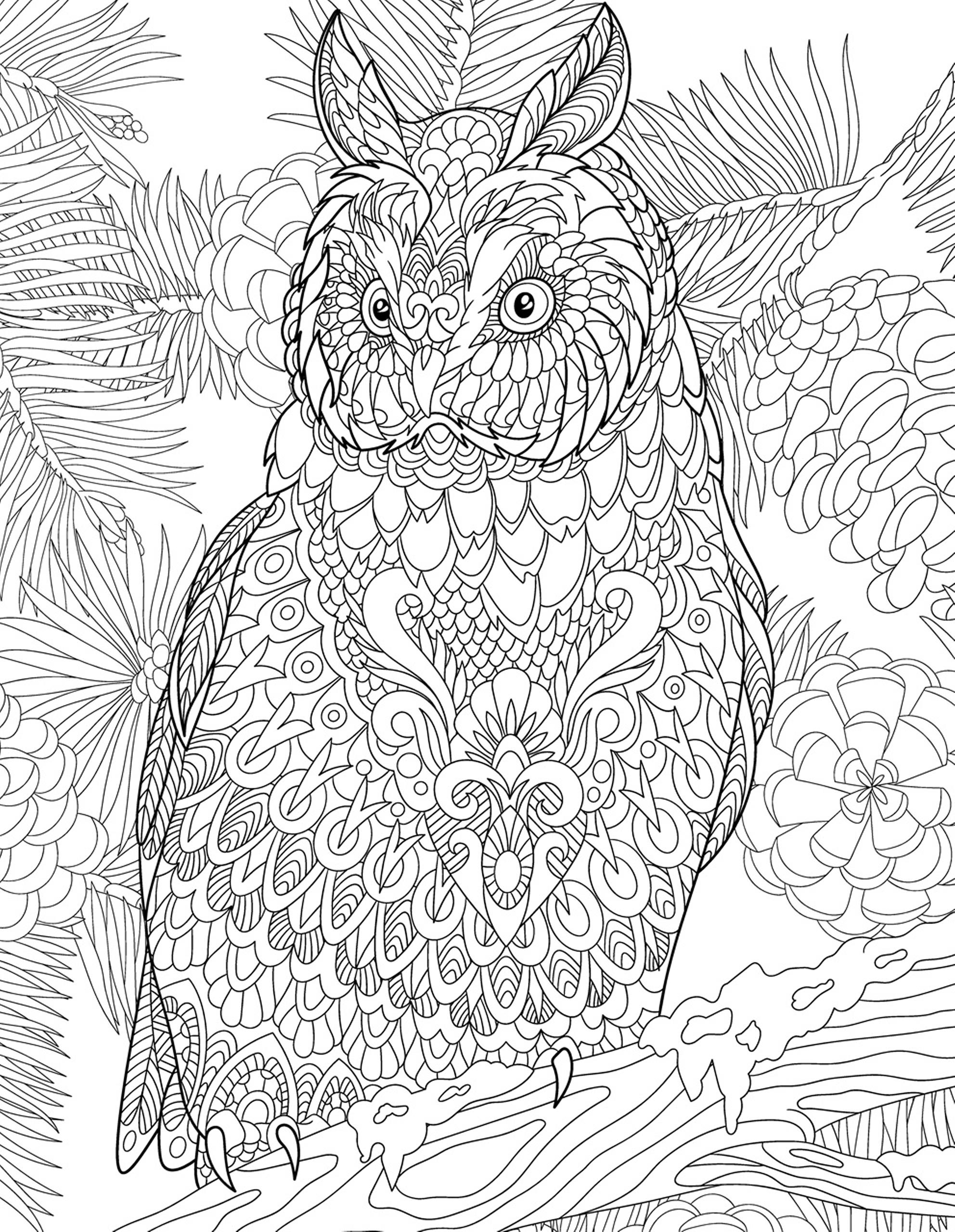 Раскраска Антистресс сова на кедре