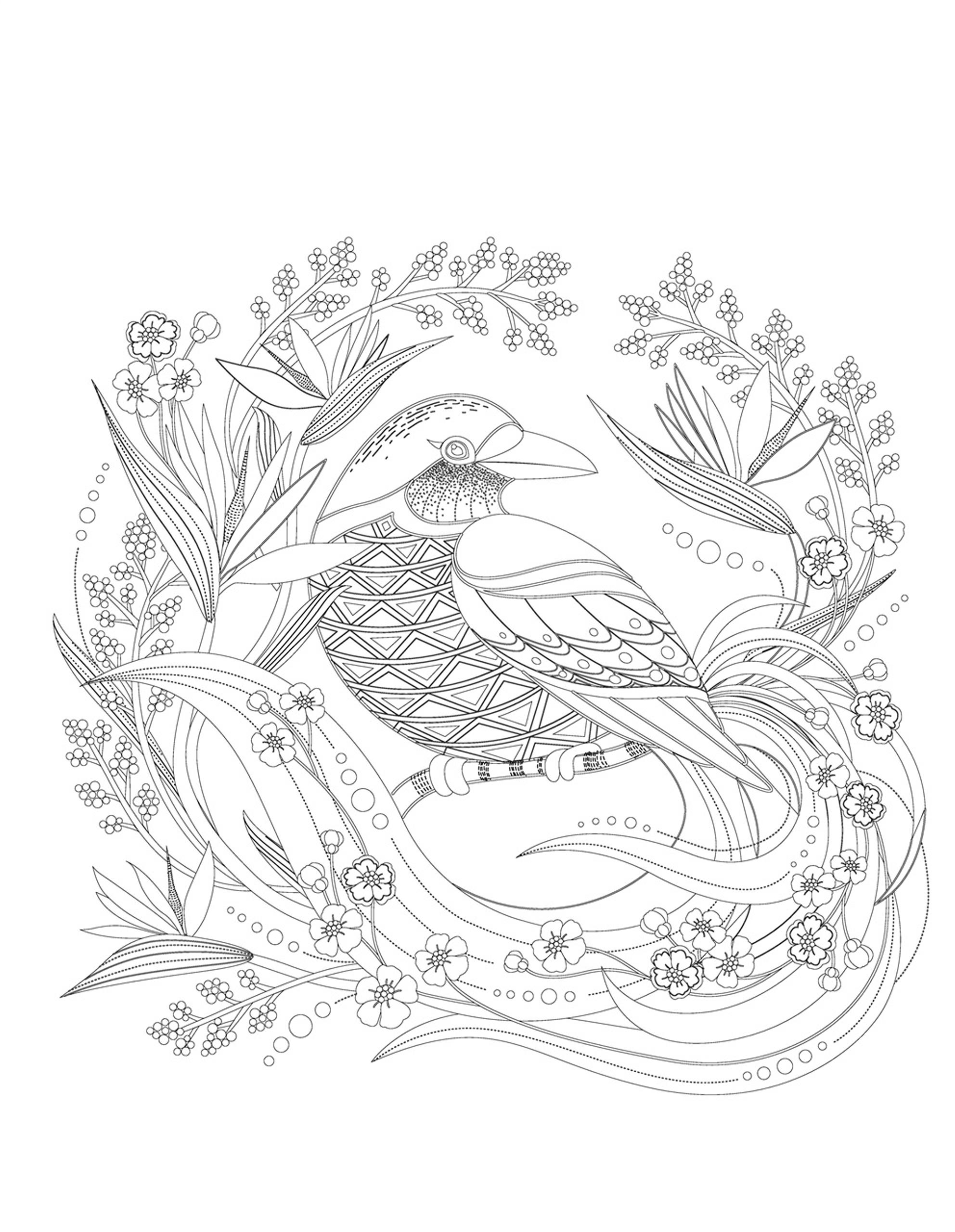 Раскраска Антистресс райская птица на ветке