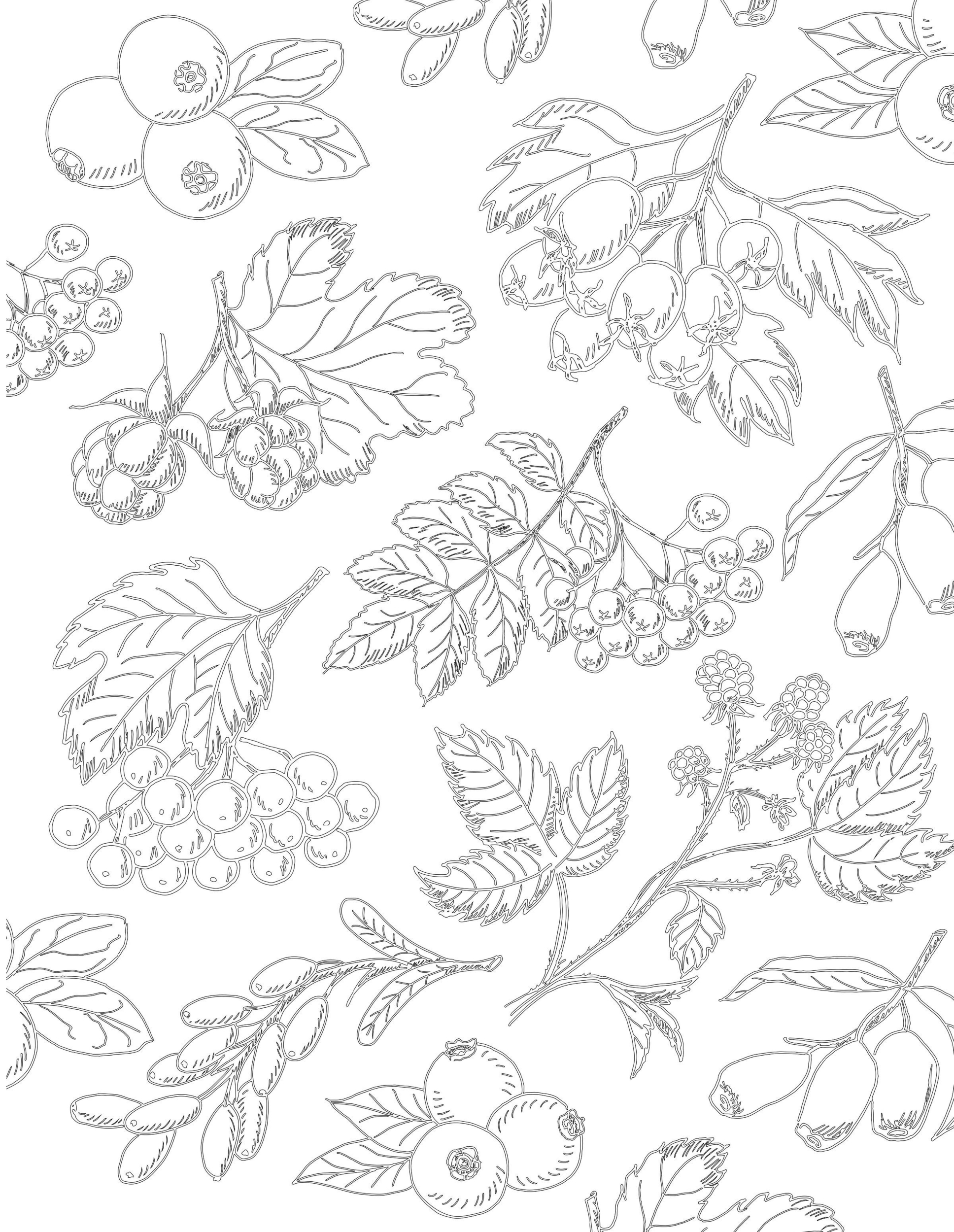Раскраска Антистресс лесные ягоды и листья