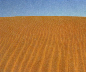 Чудеса природы. Жизнь на грани смерти. Сахара