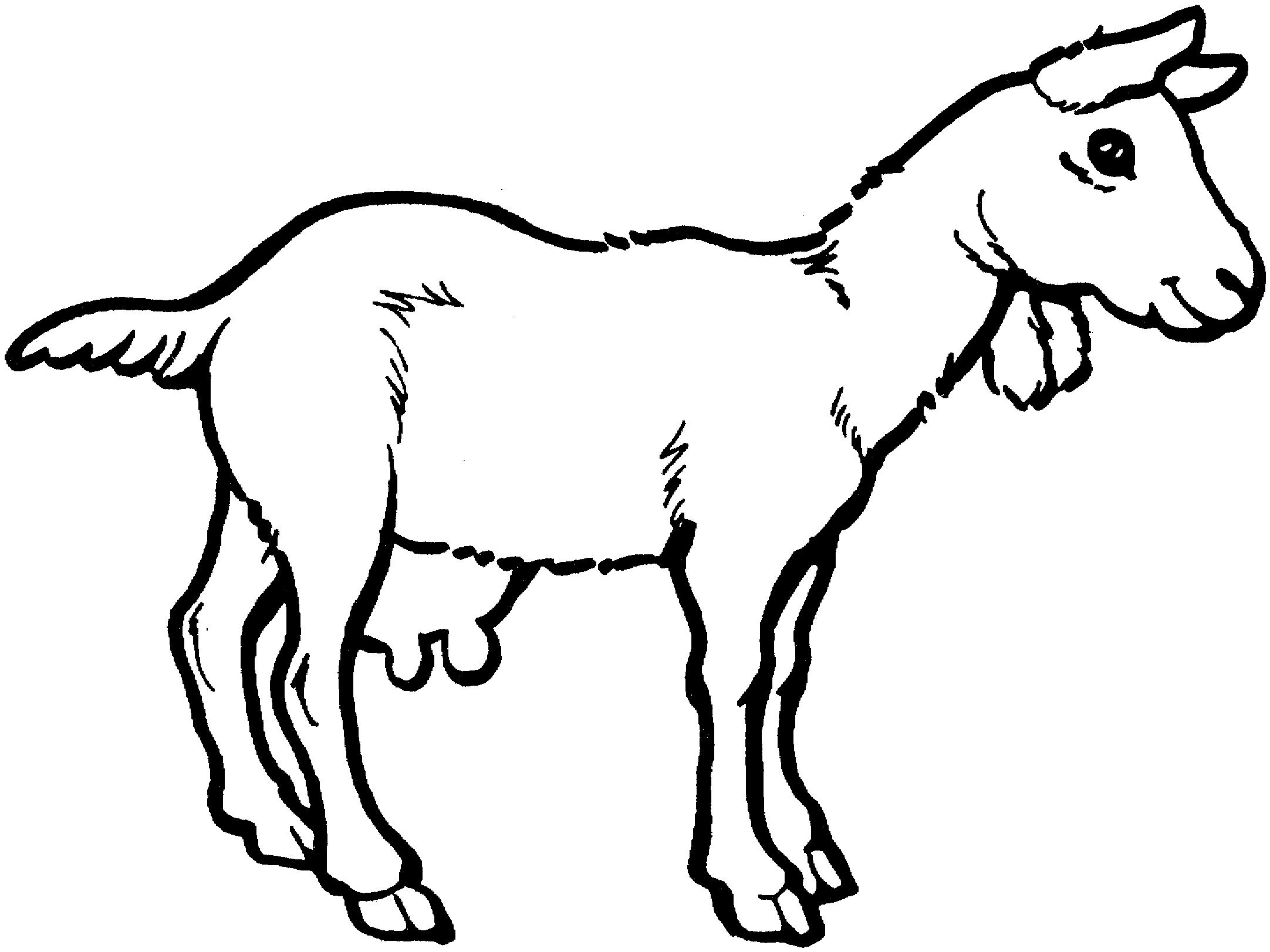 Раскраска коза