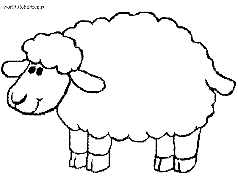 Раскраска онлайн Овцы