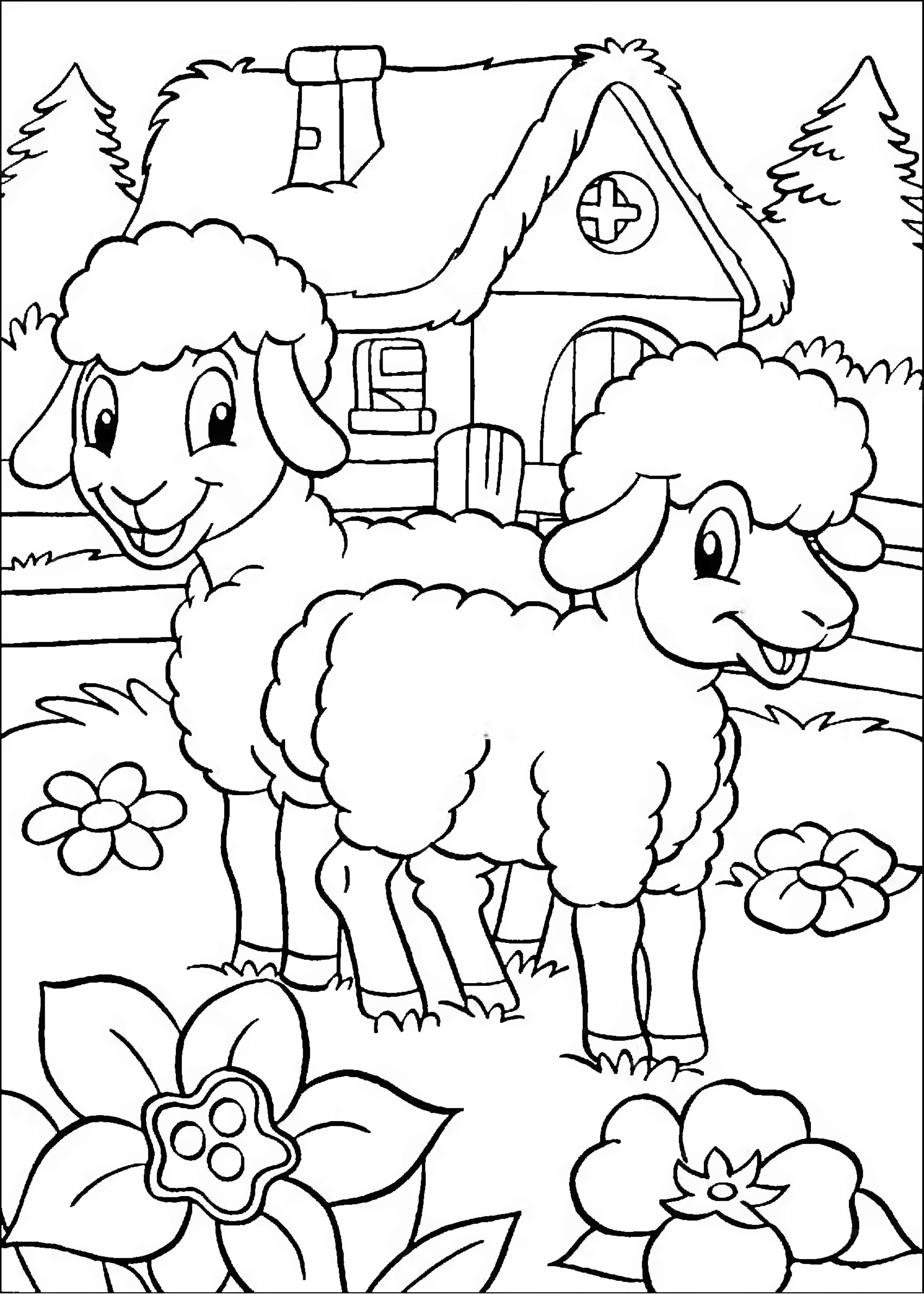 раскраска овца