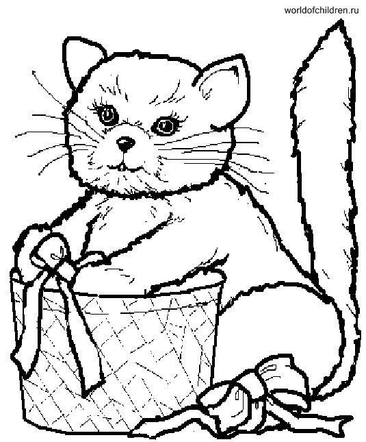 Раскраска Кот с корзинкой