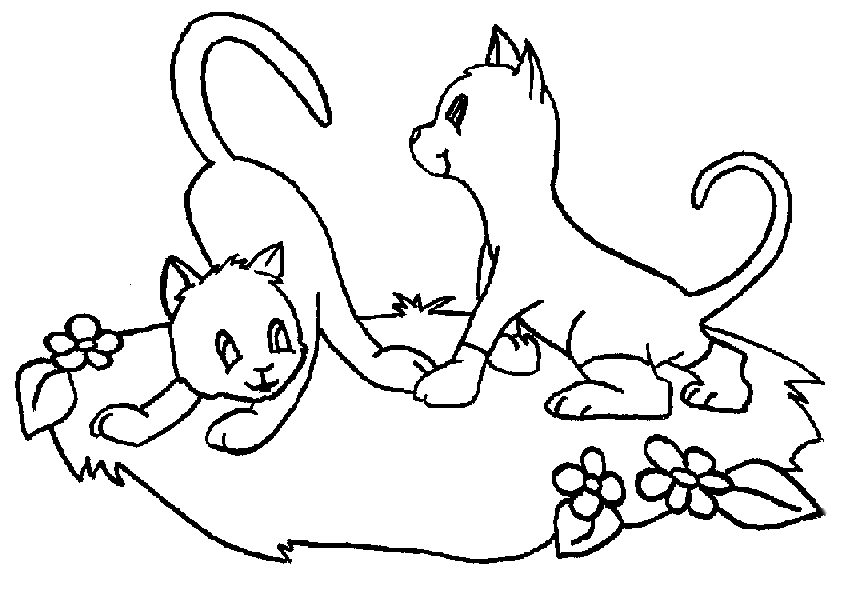 Раскраска Два котенка на поляне