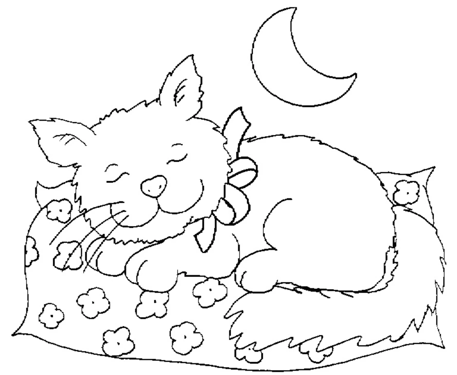 Раскраска Кот спит на подушке под луной