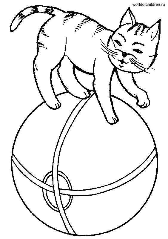 Раскраска Кот на мяче