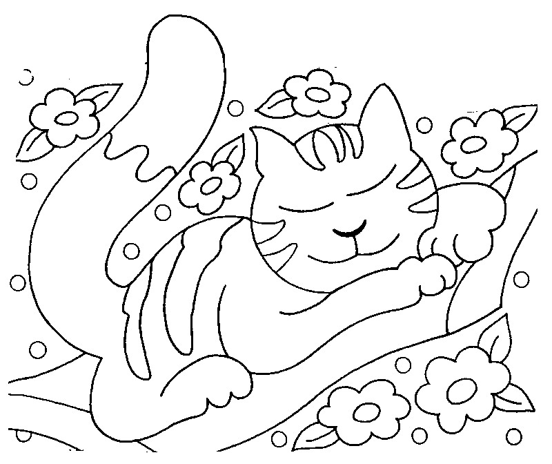 Раскраска Кошка спит среди цветов