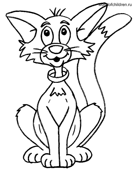 Раскраска Кот с ошейником