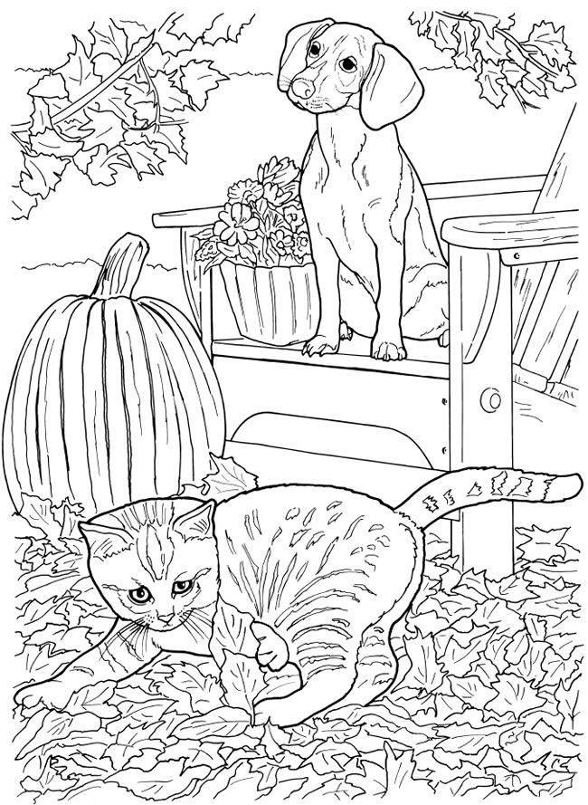 Раскраска Кот играет с опавшими листьями