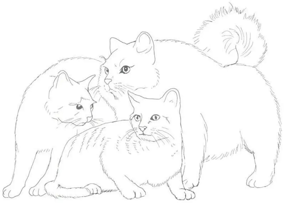 Раскраска Три кота