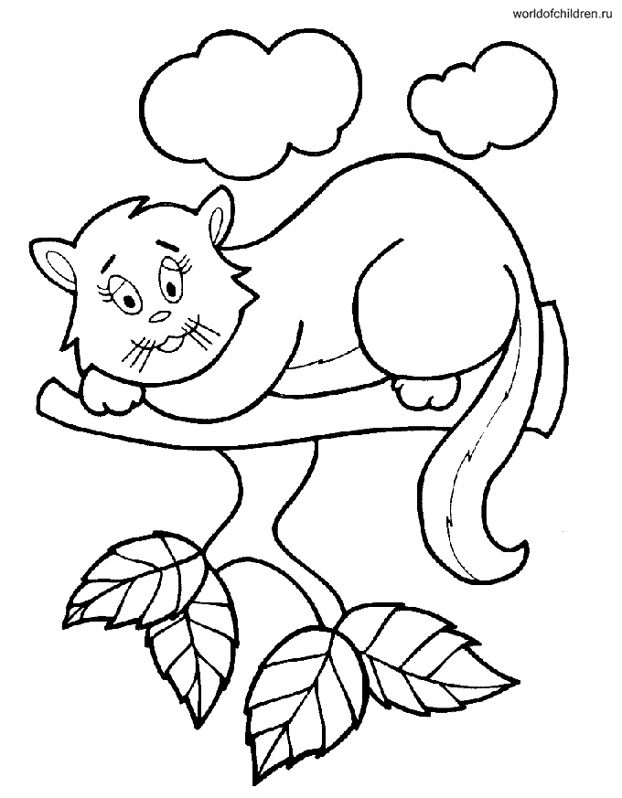 Раскраска Кот на ветке дерева
